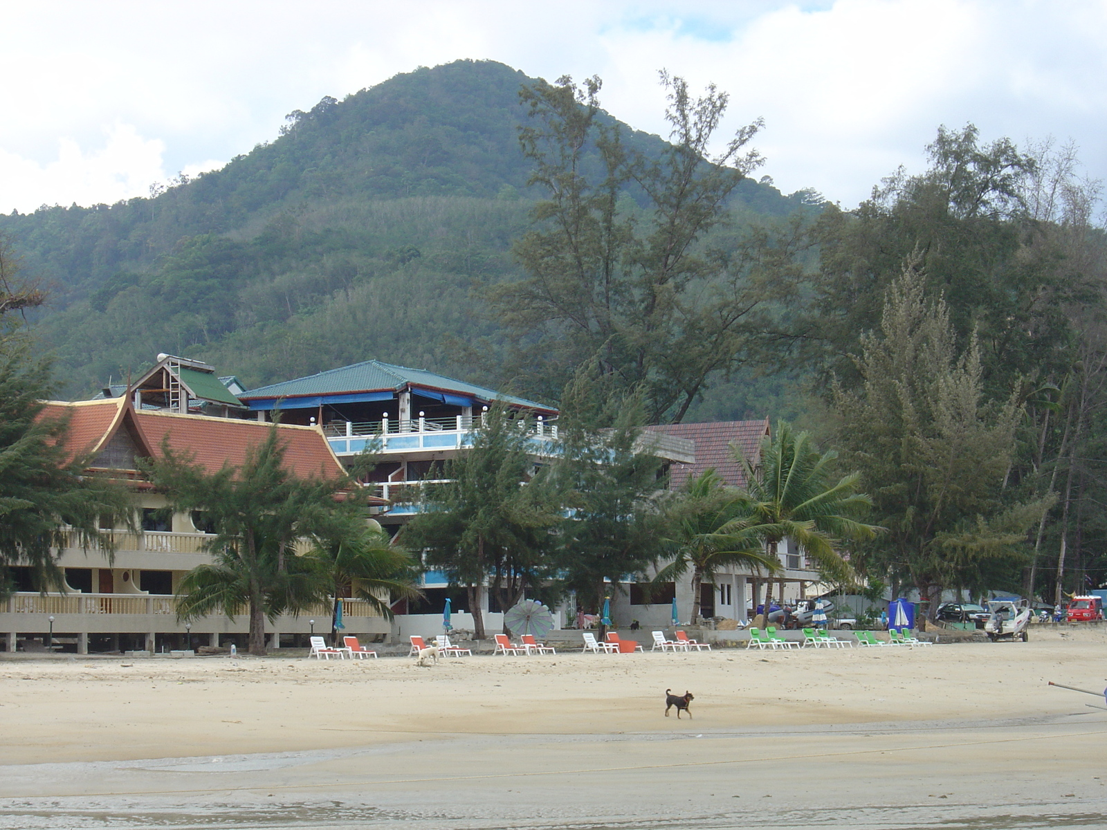 รูปถ่าย ไทย(Thailand) ภูเก็ต(Phuket) หาดกมลา(Kamala Beach) 2005-12 116