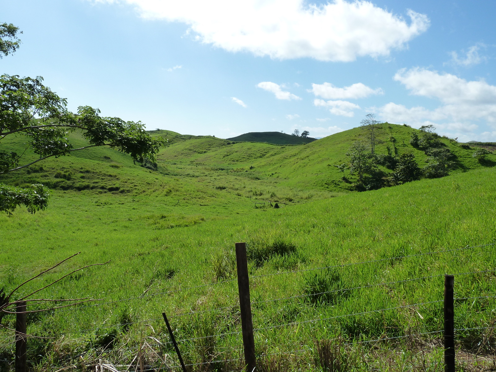 รูปถ่าย ฟิจิ(Fiji) แม่น้ำซิงกาโตกา(Sigatoka river) 2010-05 94