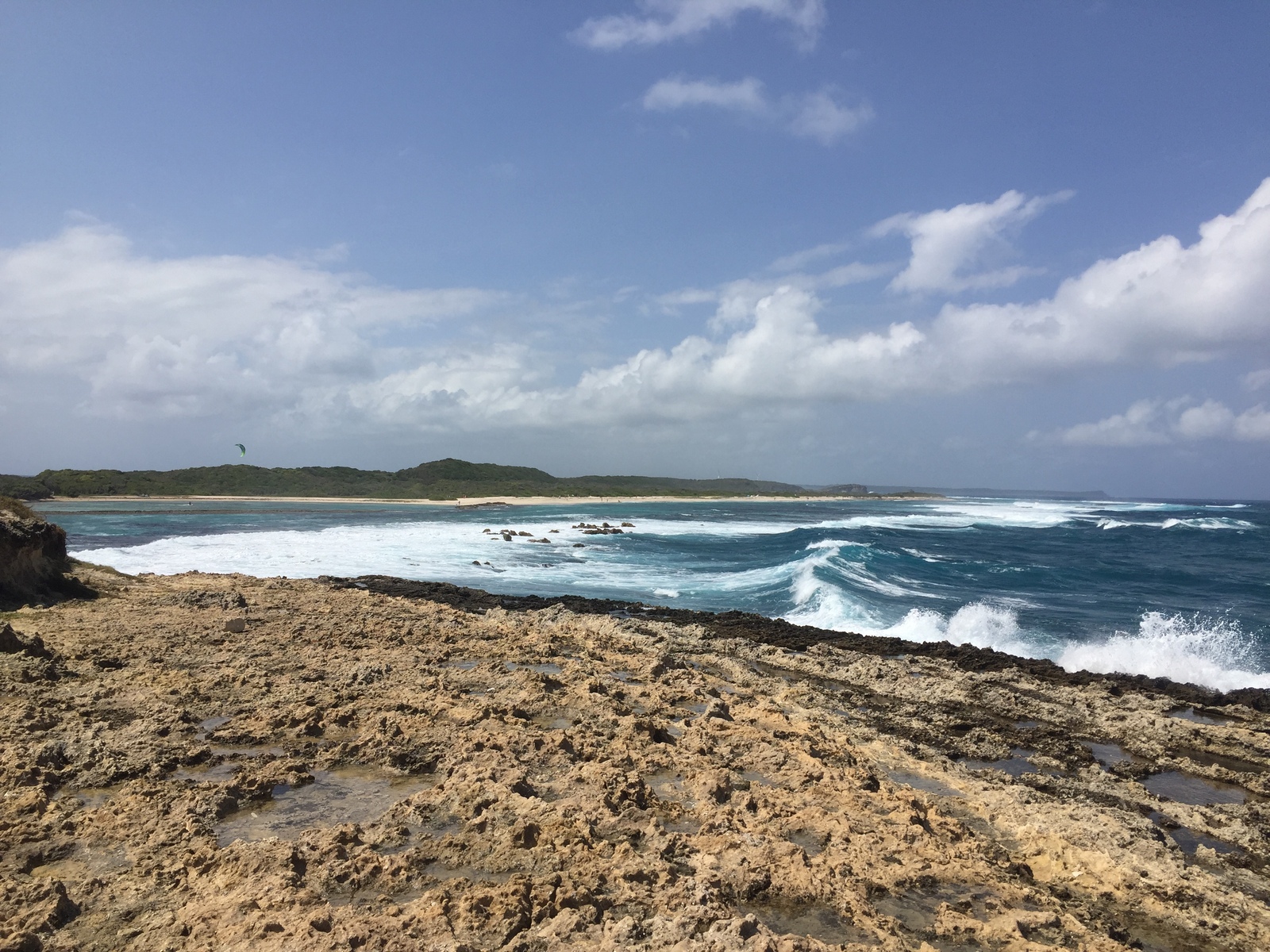 รูปถ่าย กวาเดอลูป(Guadeloupe) แหลมคาสเซิลพอยต์(Castle Point) 2021-02 140
