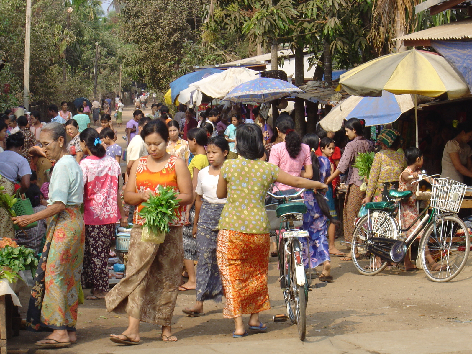 รูปถ่าย พม่า(Myanmar) ทวาย(Dawei (TAVOY)) 2005-01 152