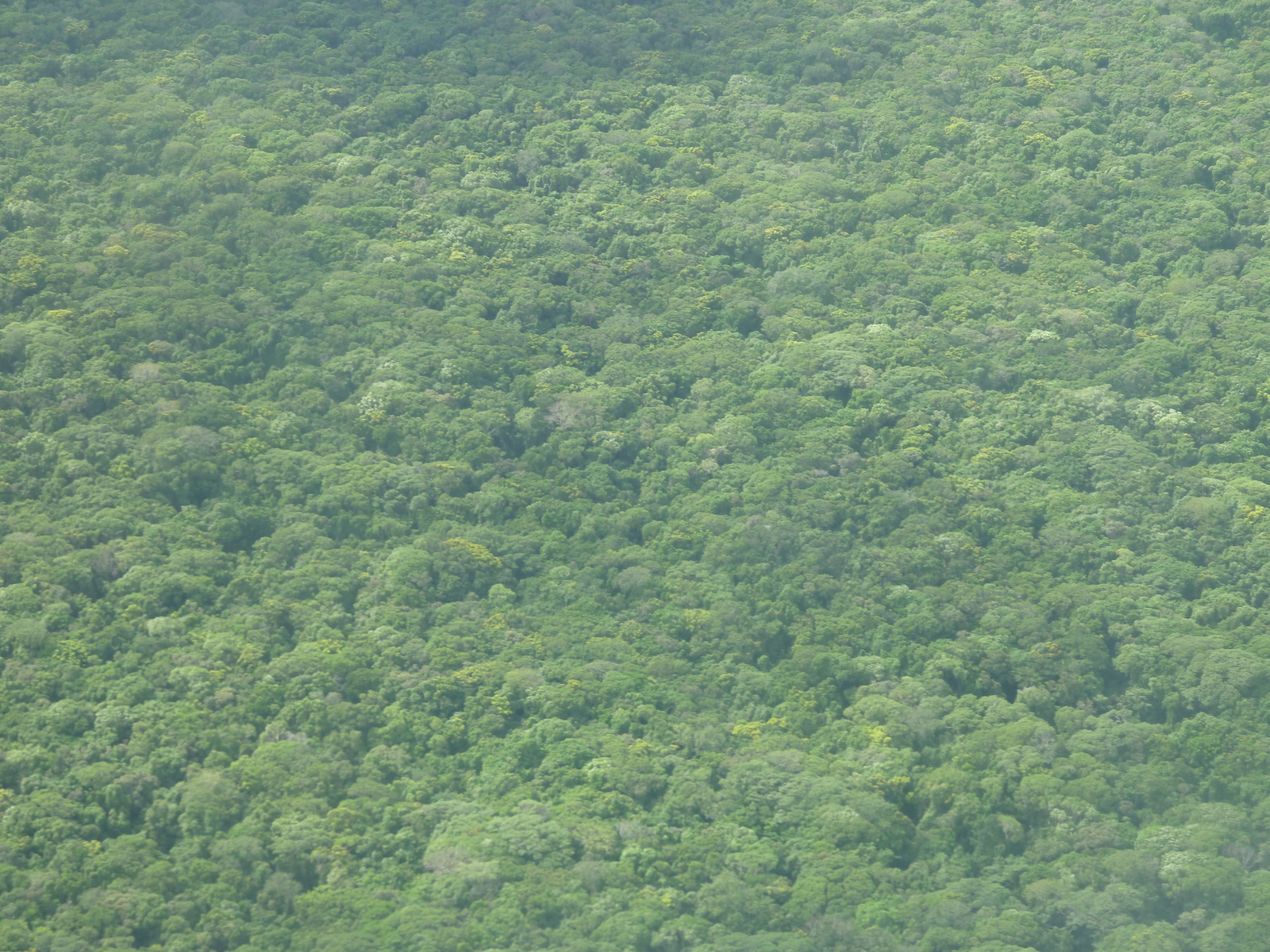 รูปถ่าย นิวแคลิโดเนีย(New Caledonia) ถ่ายจากข้างบน(From the Sky) 2010-05 5