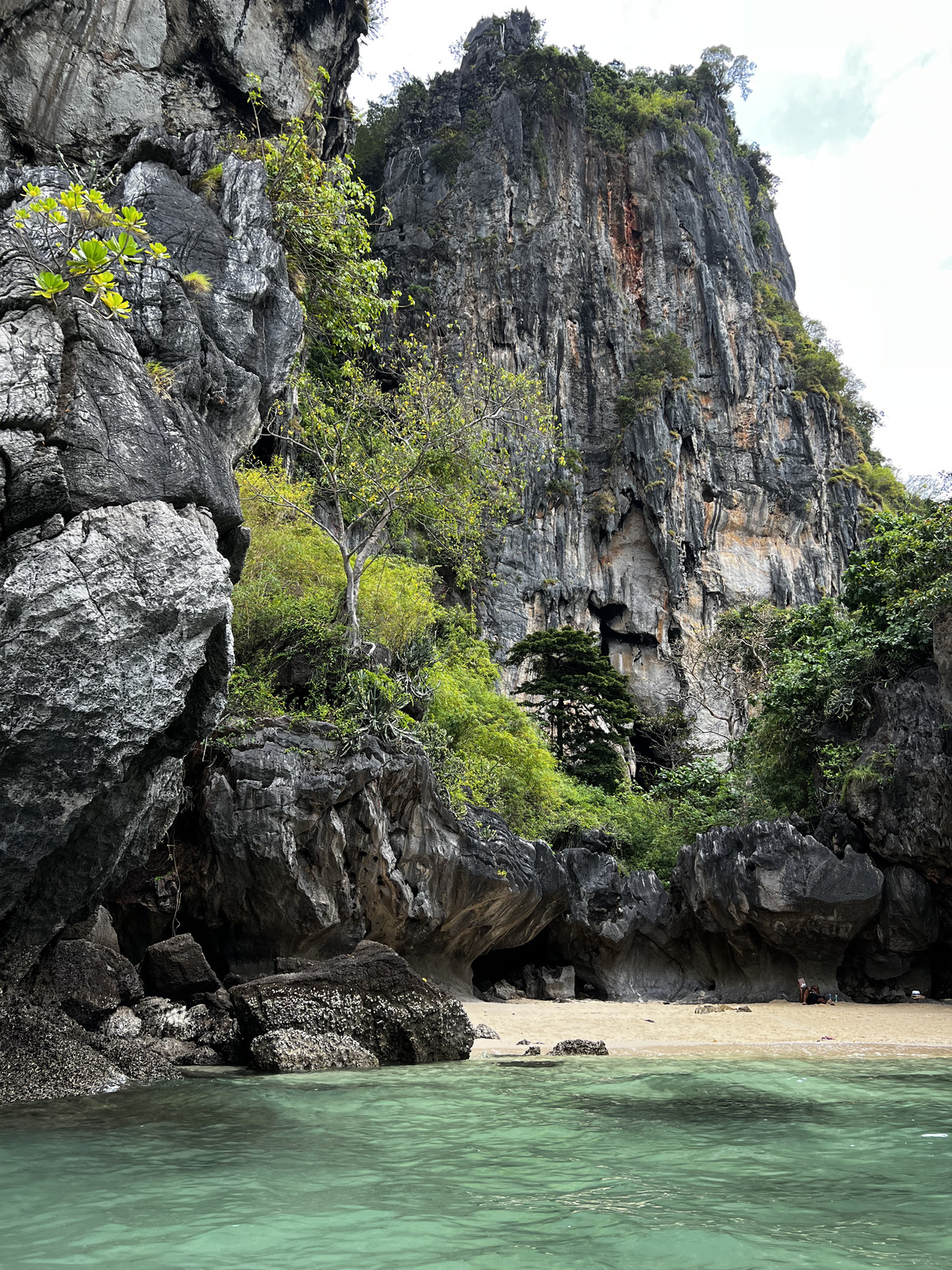 รูปถ่าย ไทย(Thailand) กระบี่(Krabi) 2023-01 444