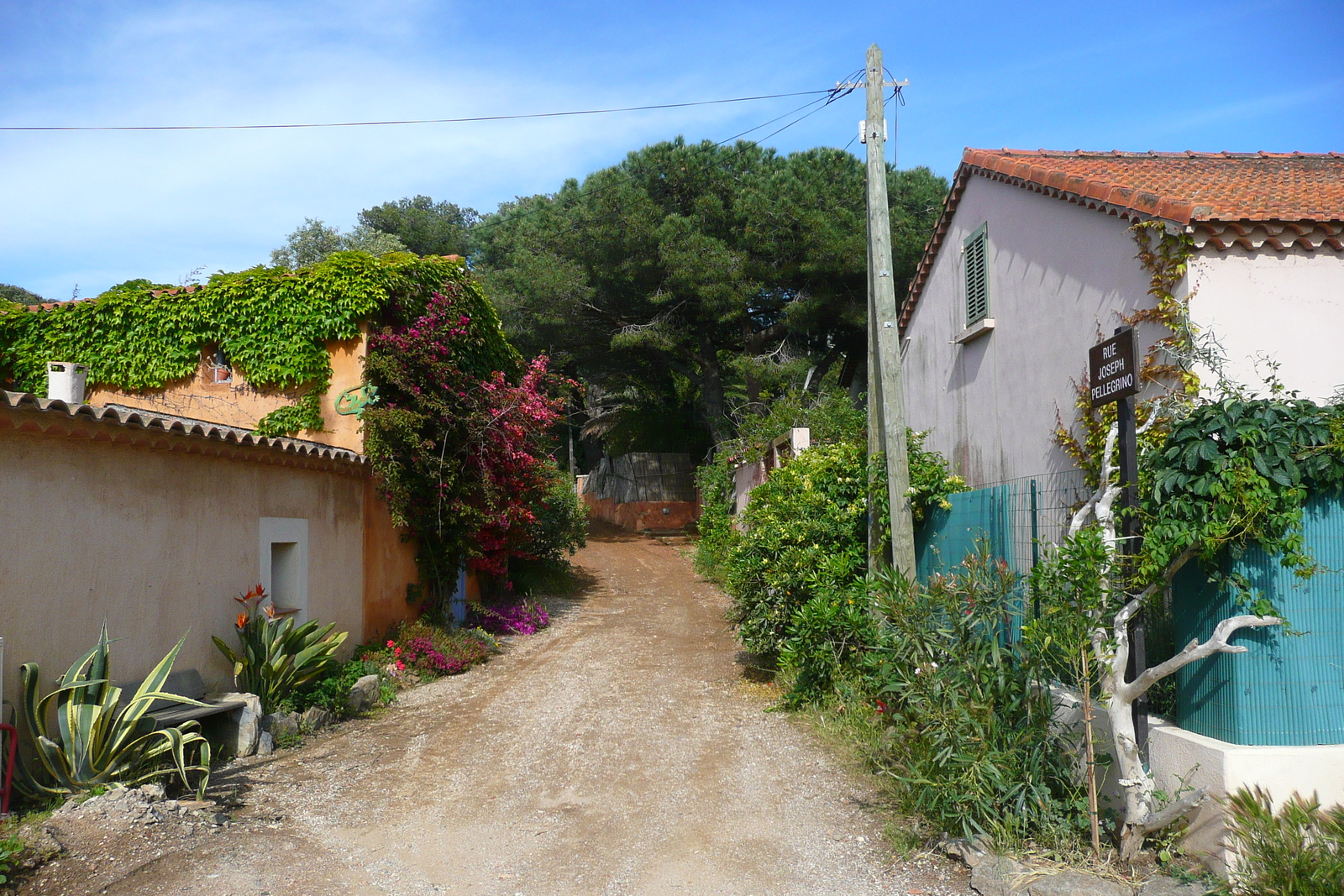 รูปถ่าย ฝรั่งเศส(France) เกาะปอร์เกอรอล(Porquerolles Island) ปอร์เกอรอล(Porquerolles) 2008-05 28