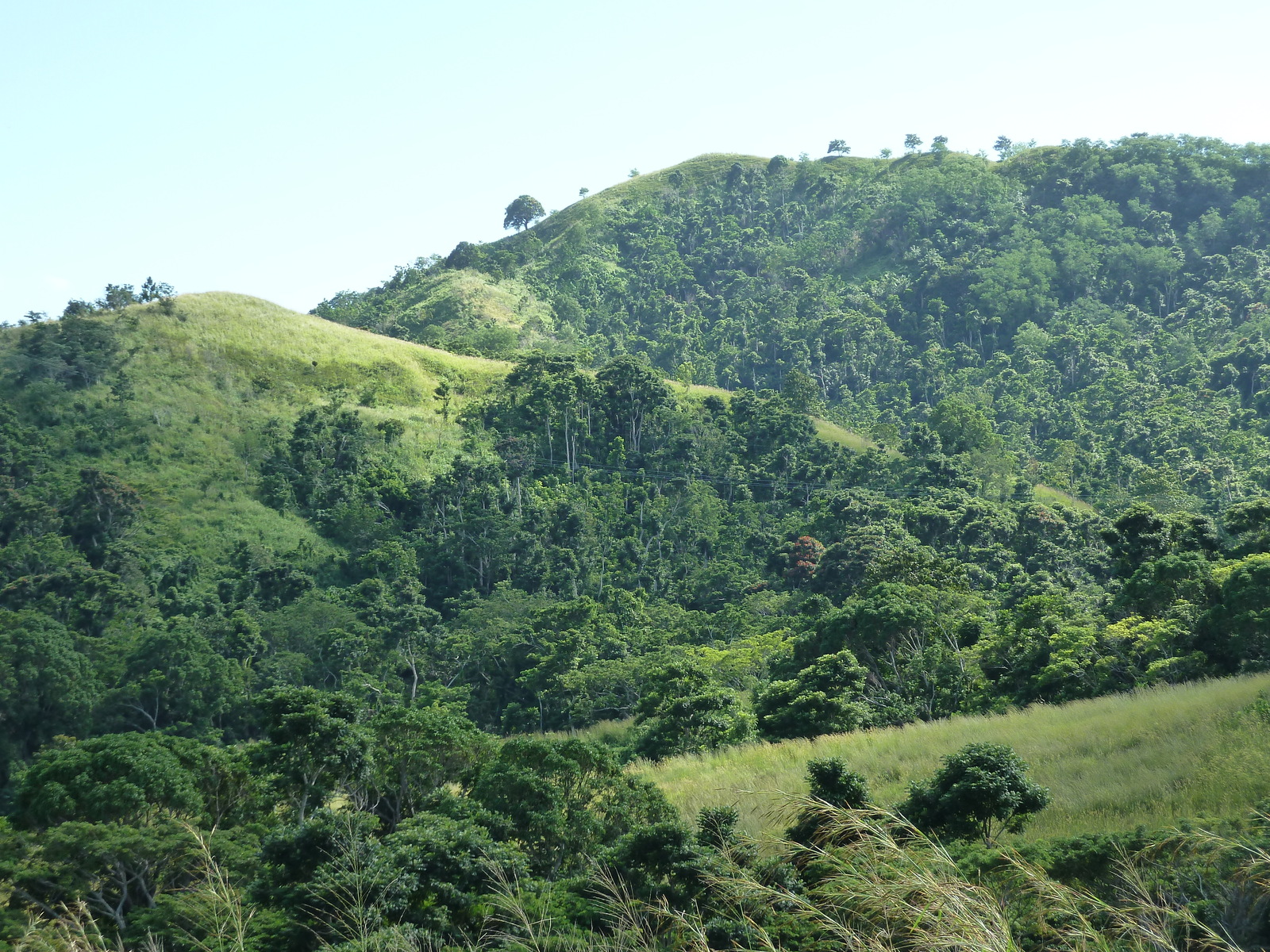 รูปถ่าย ฟิจิ(Fiji) แม่น้ำซิงกาโตกา(Sigatoka river) 2010-05 24