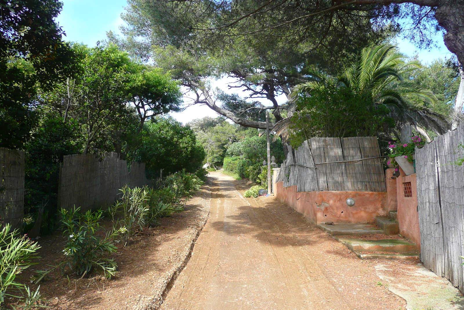 รูปถ่าย ฝรั่งเศส(France) เกาะปอร์เกอรอล(Porquerolles Island) ปอร์เกอรอล(Porquerolles) 2008-05 25