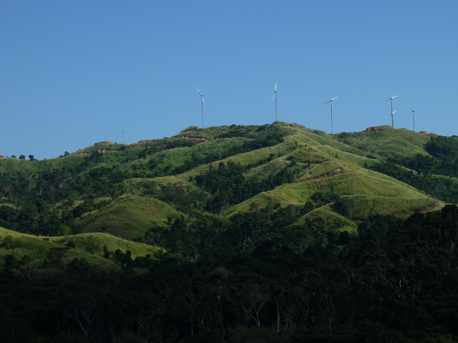 รูปถ่าย ฟิจิ(Fiji) แม่น้ำซิงกาโตกา(Sigatoka river) 2010-05 29