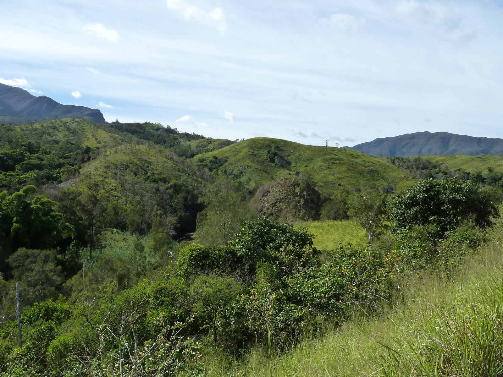 รูปถ่าย นิวแคลิโดเนีย(New Caledonia) ถนนจากตงตูตาไปทีโอ(Tontouta to Thio road) 2010-05 129