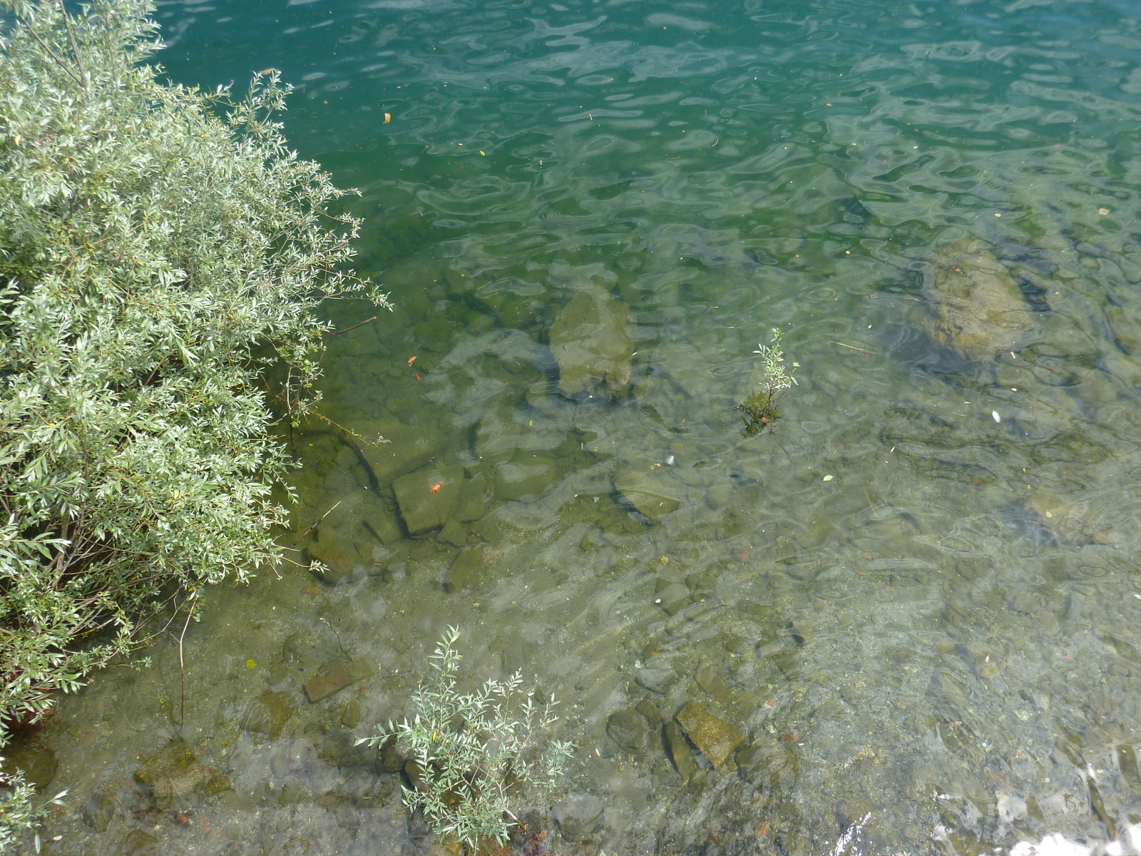 รูปถ่าย อิตาลี(Italy) อาโรนา(Arona) 2009-06 1
