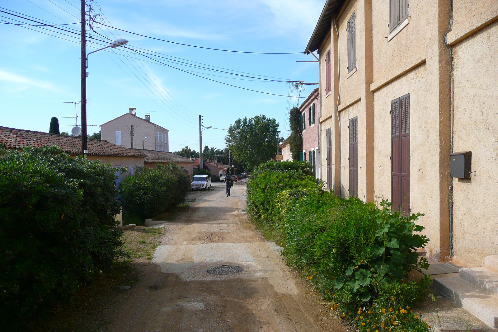 รูปถ่าย ฝรั่งเศส(France) เกาะปอร์เกอรอล(Porquerolles Island) ปอร์เกอรอล(Porquerolles) 2008-05 13