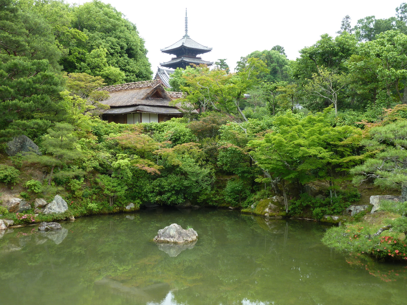 รูปถ่าย ญี่ปุ่น(Japan) เกียวโต(Kyoto) ตำหนักหลวงวัดนินนะจิ(Ninna ji imperial Residence) 2010-06 41