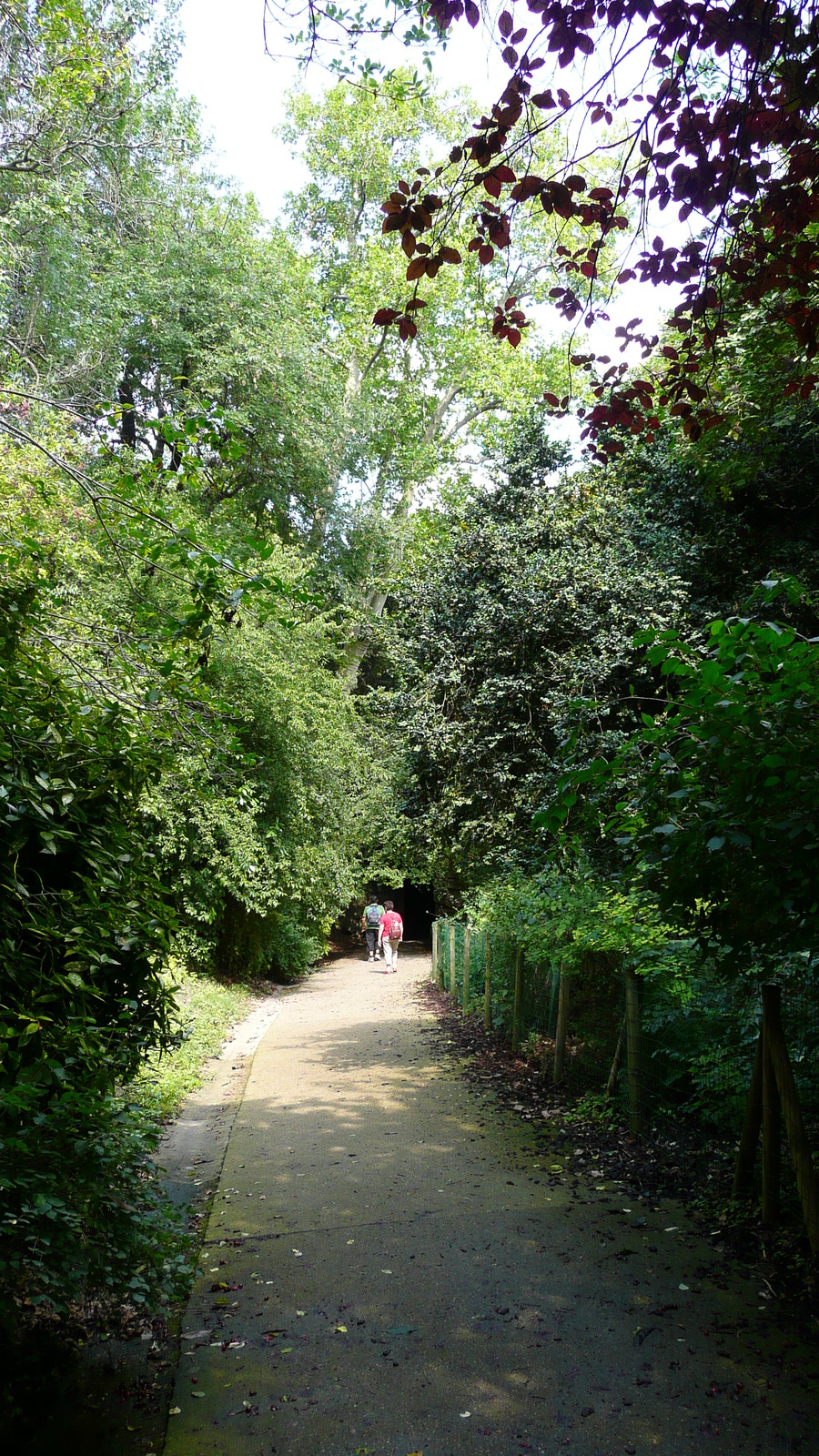 รูปถ่าย ฝรั่งเศส(France) ปารีส(Paris) สวนบุต-โชมง(Parc des Buttes Chaumont) 2007-08 71