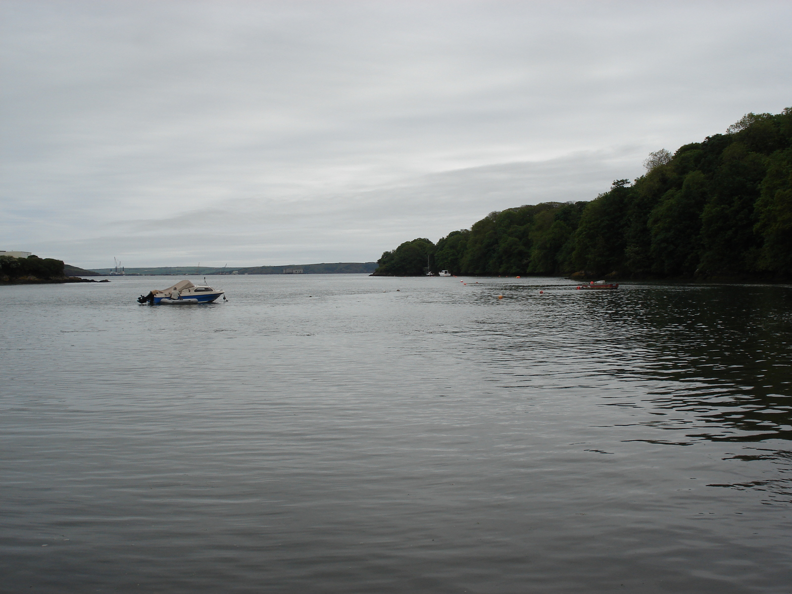 รูปถ่าย อังกฤษ(United Kingdom) เปมโบรคเชอร์(Pembrokeshire) 2006-05 51