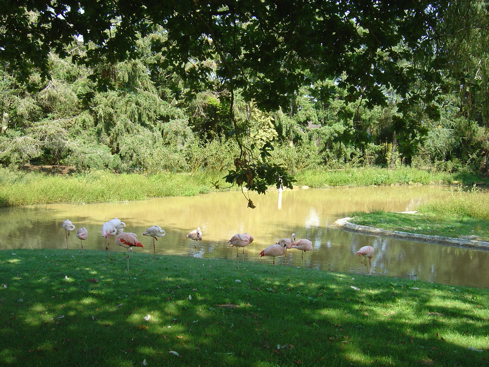 รูปถ่าย ฝรั่งเศส(France) บรอแฟร์เร(Branfere) 2004-08 14