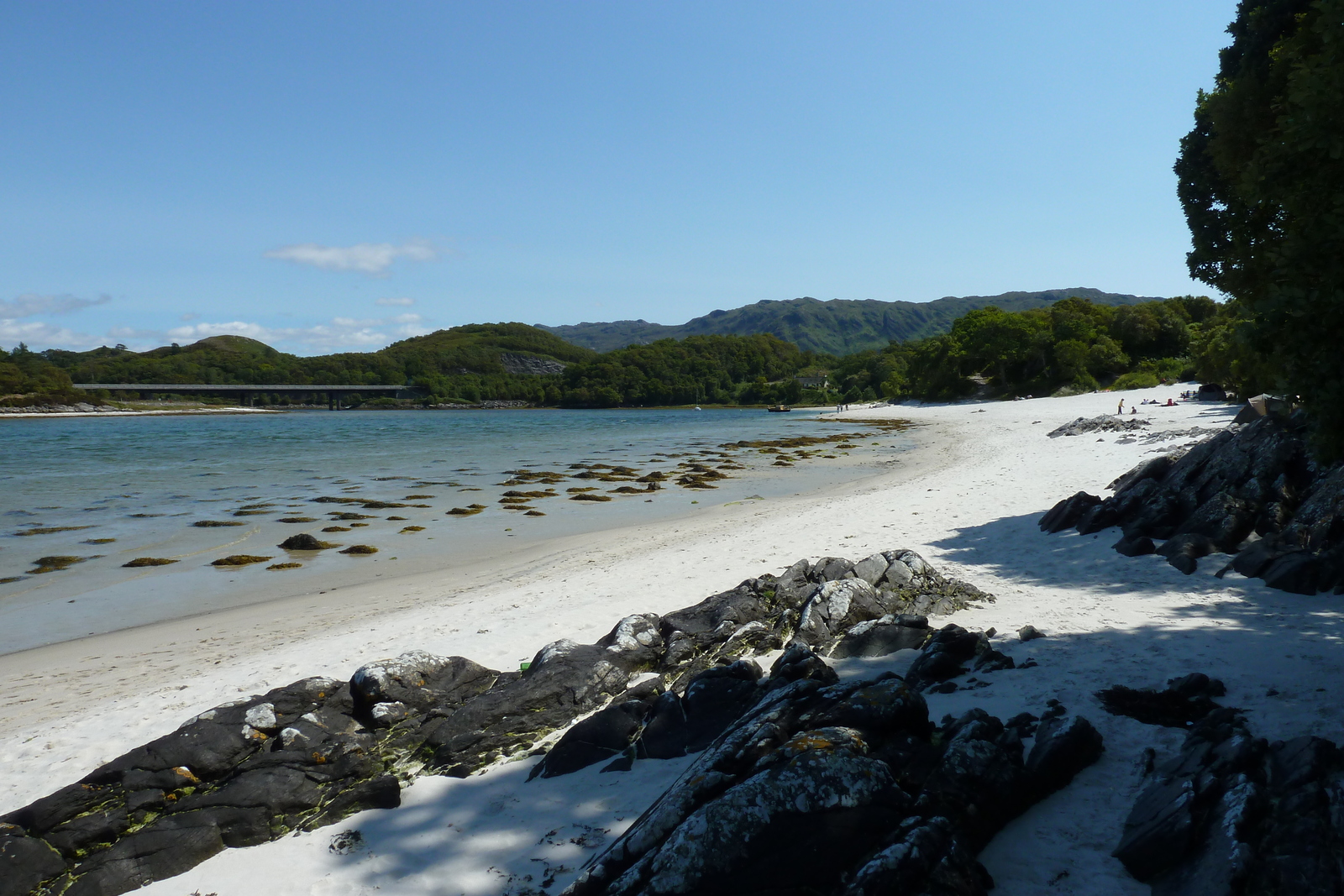 รูปถ่าย อังกฤษ(United Kingdom) สกอตแลนด์(Scotland) ชายฝั่งแอริเซก(Arisaig coast) 2011-07 75