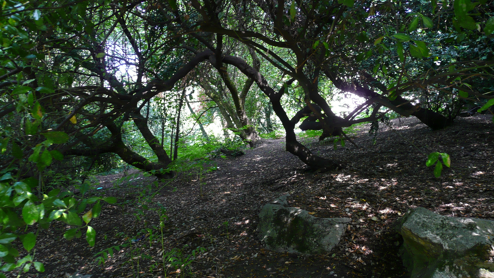 รูปถ่าย ฝรั่งเศส(France) ปารีส(Paris) สวนบุต-โชมง(Parc des Buttes Chaumont) 2007-08 17