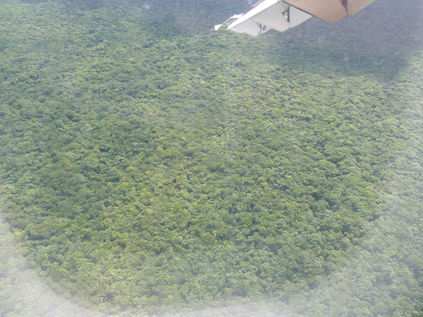 รูปถ่าย นิวแคลิโดเนีย(New Caledonia) ถ่ายจากข้างบน(From the Sky) 2010-05 35