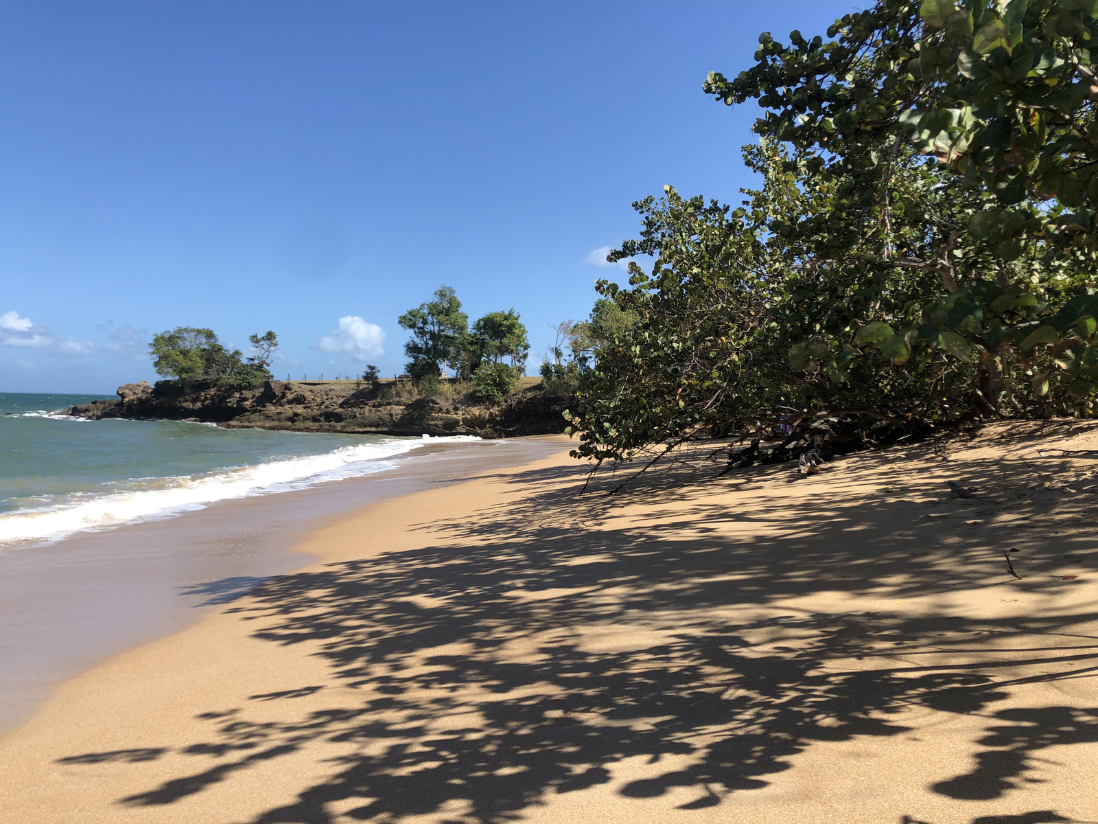 รูปถ่าย กวาเดอลูป(Guadeloupe) แซ็นต์โรส(Sainte Rose) 2021-02 7