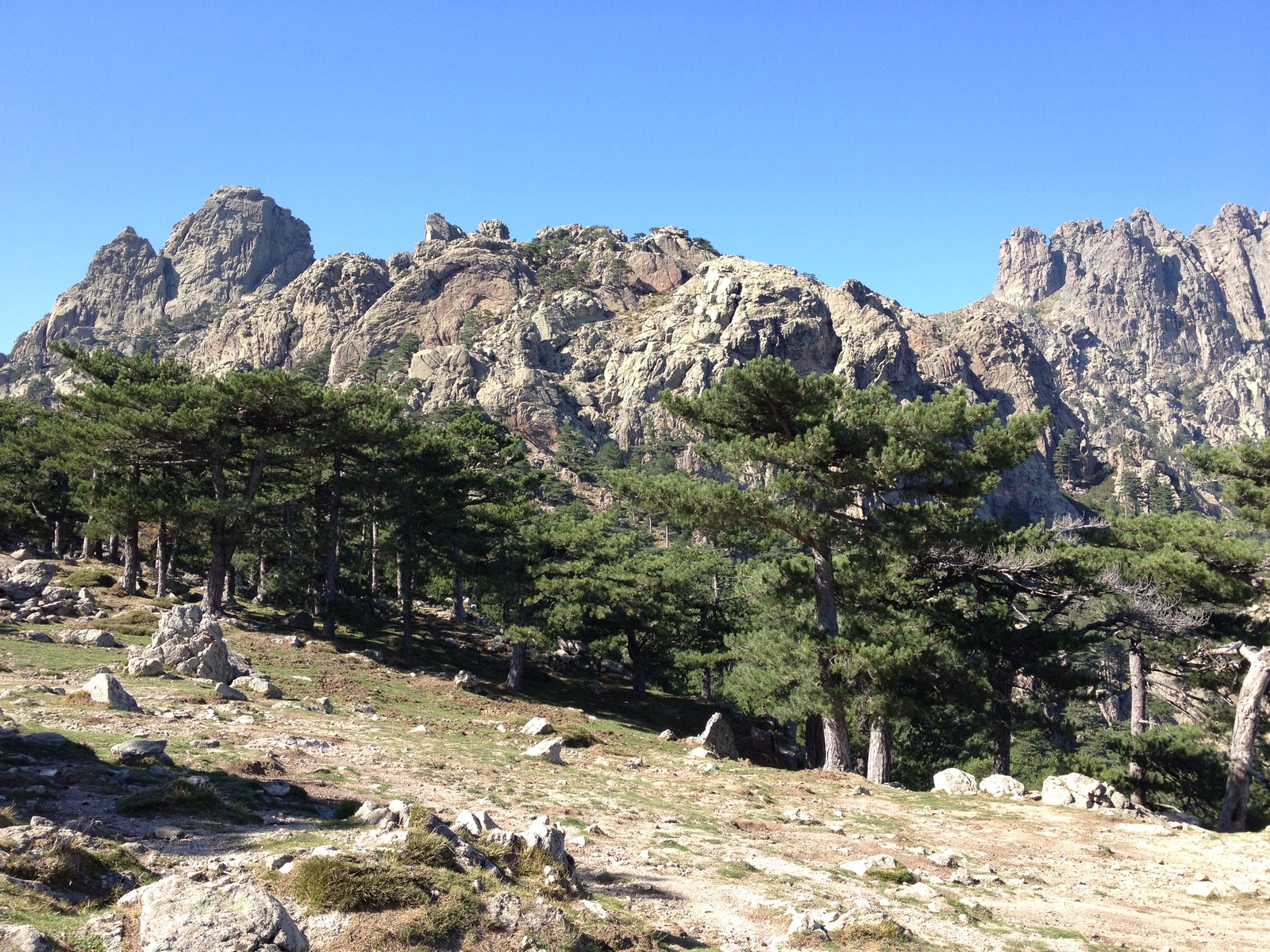 รูปถ่าย ฝรั่งเศส(France) คอร์สิคา(Corsica) บาแวลลา(Bavella) 2012-09 92