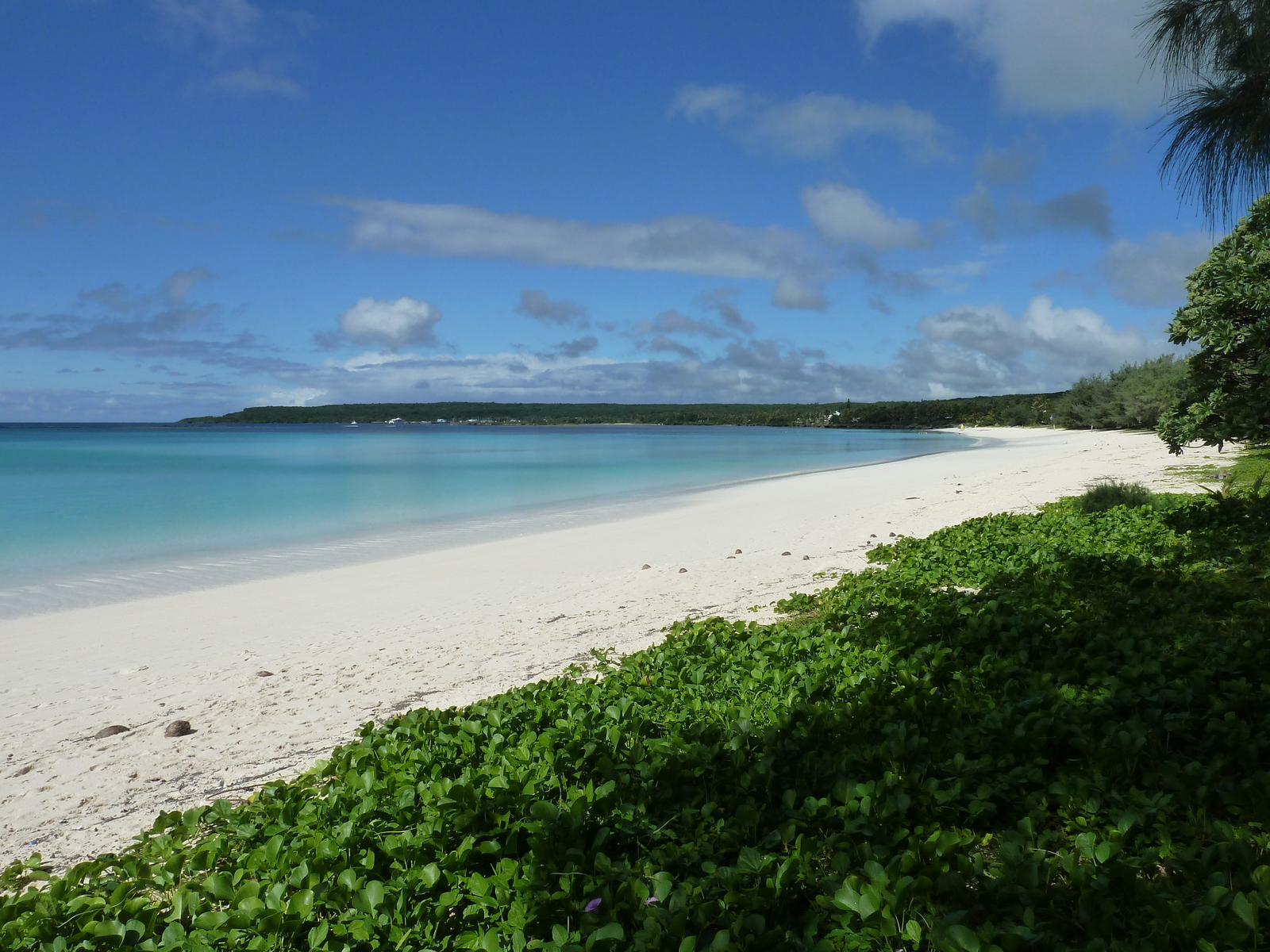 รูปถ่าย นิวแคลิโดเนีย(New Caledonia) 2010-05 46