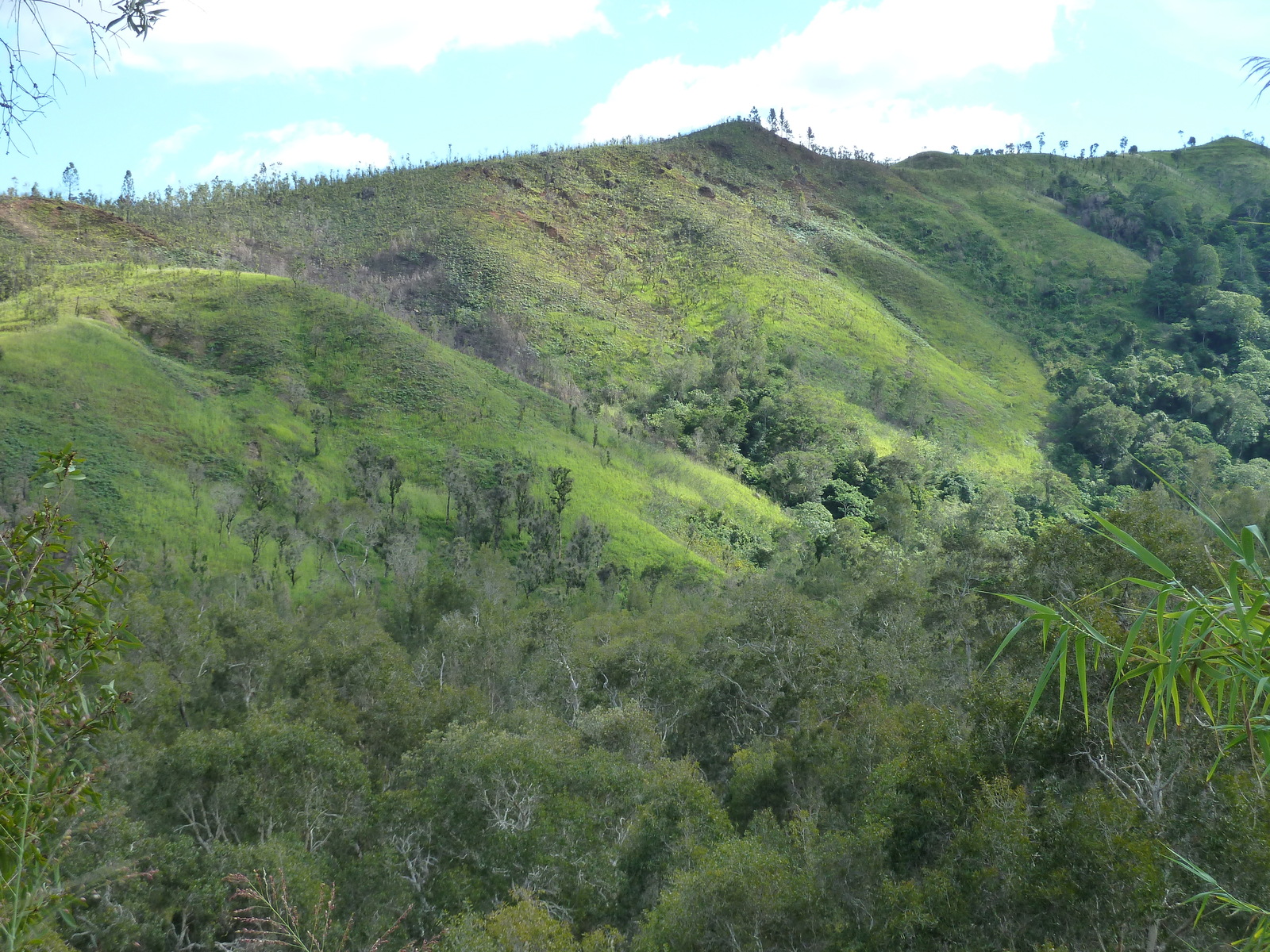 รูปถ่าย นิวแคลิโดเนีย(New Caledonia) ถนนจากตงตูตาไปทีโอ(Tontouta to Thio road) 2010-05 93