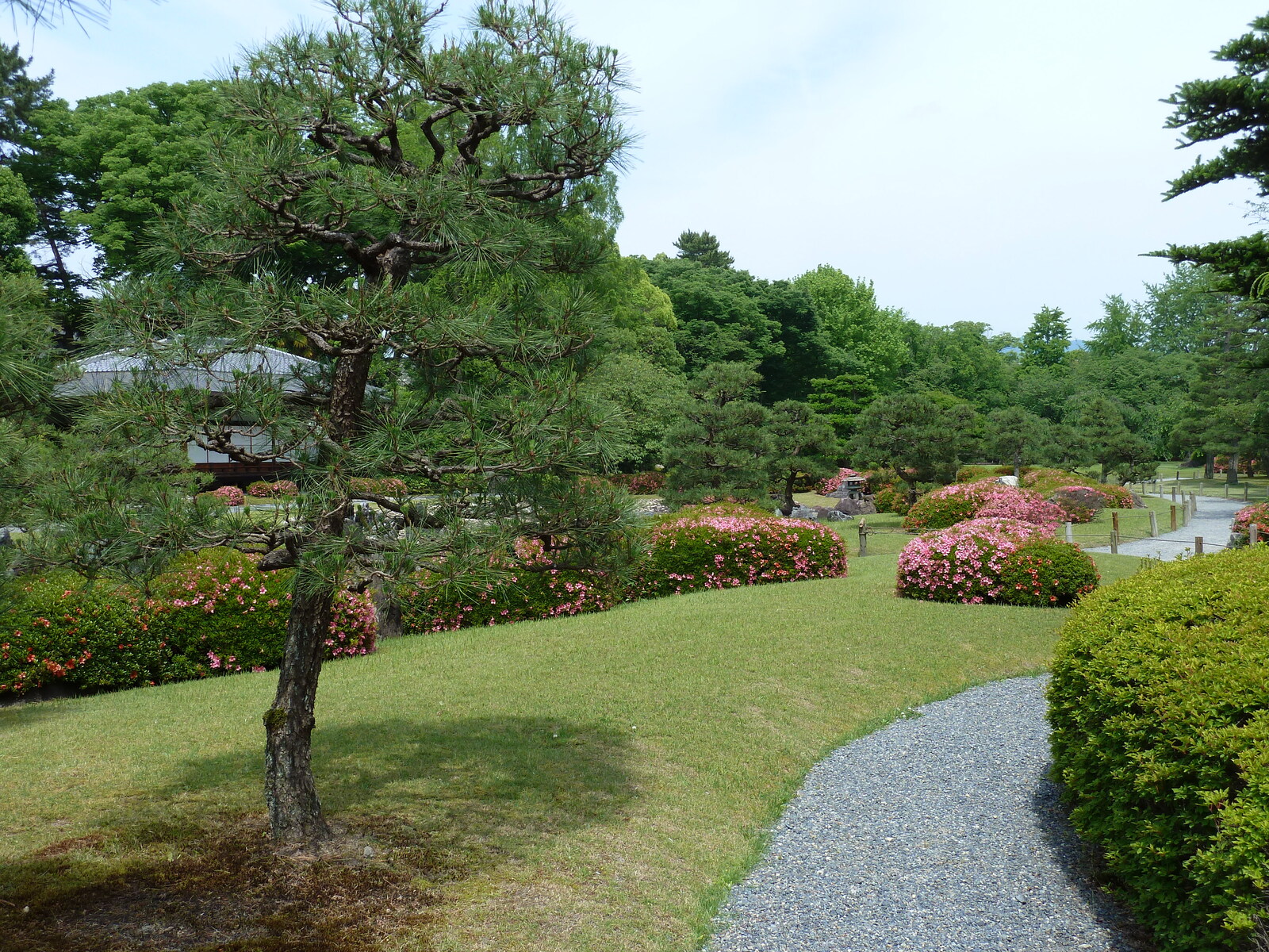 รูปถ่าย ญี่ปุ่น(Japan) เกียวโต(Kyoto) ปราสาทนิโจ(Nijo Castle) 2010-06 104