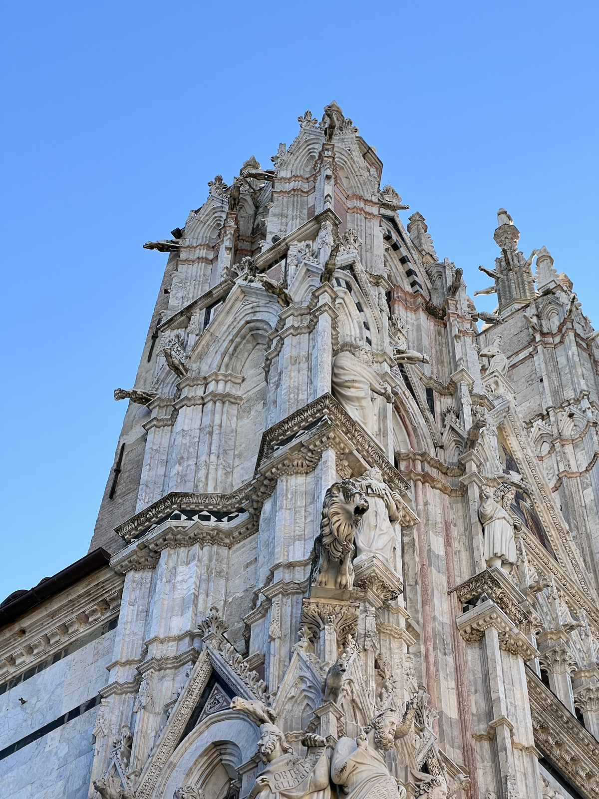 รูปถ่าย อิตาลี(Italy) ซีเอน่า(Siena) มหาวิหารเซียนา(Duomo di Siena) 2021-09 74