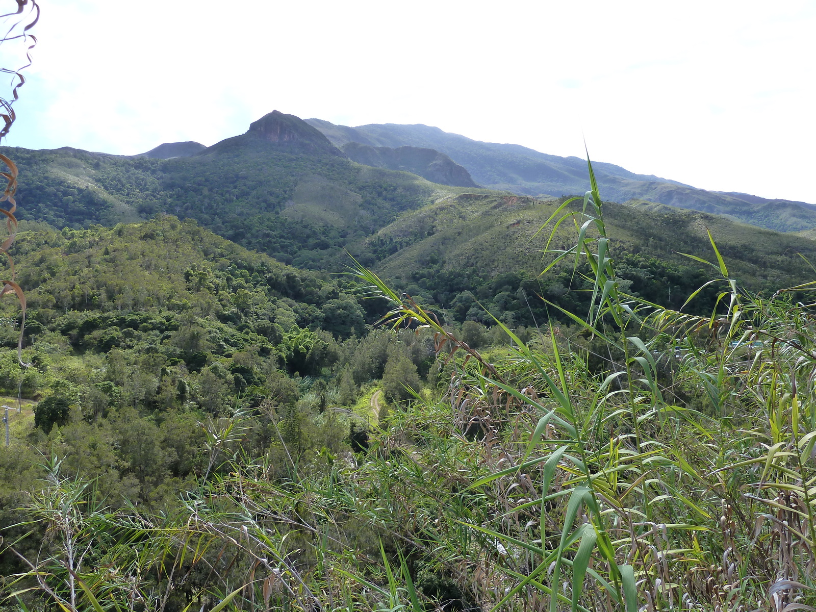 รูปถ่าย นิวแคลิโดเนีย(New Caledonia) ถนนจากตงตูตาไปทีโอ(Tontouta to Thio road) 2010-05 107