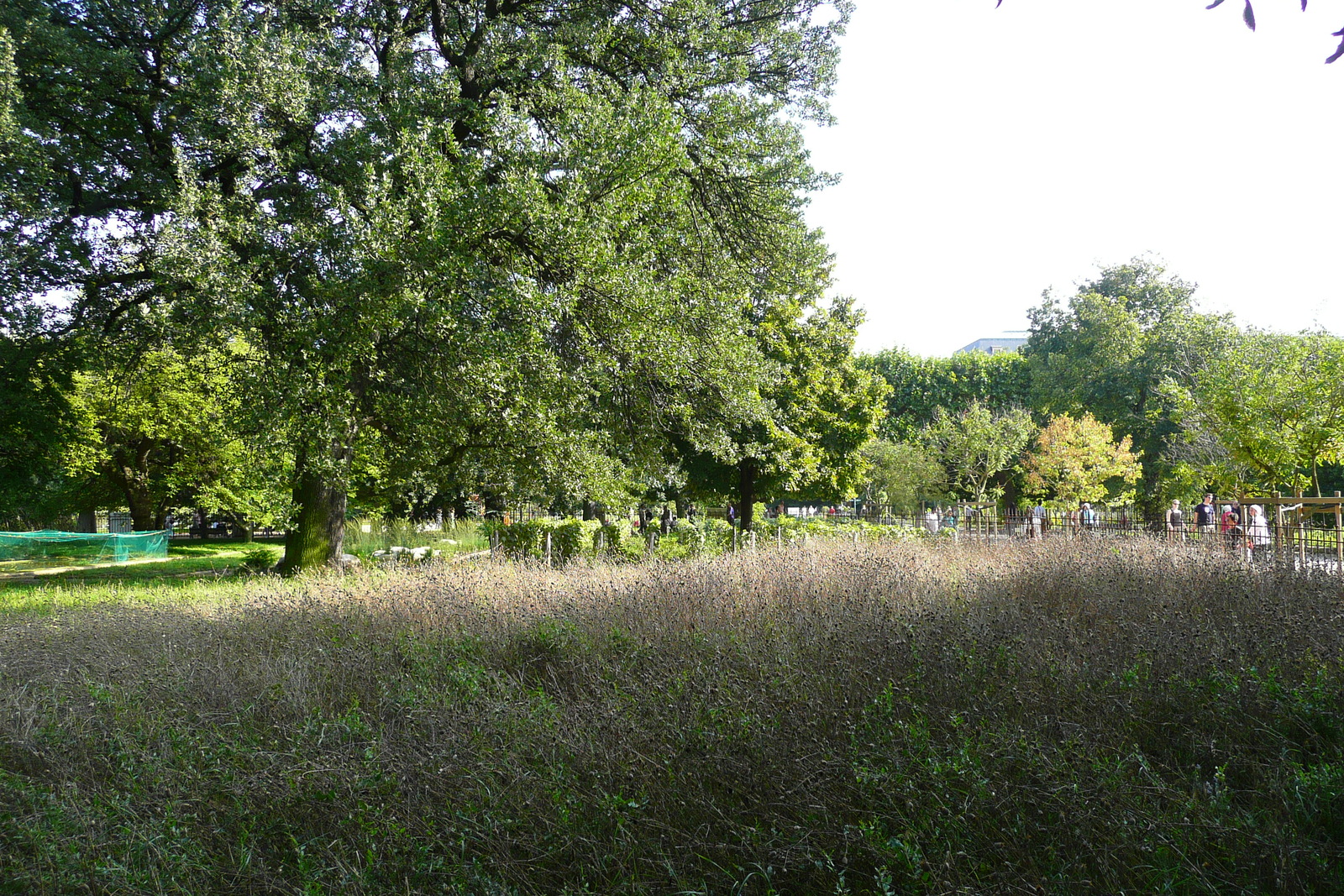 รูปถ่าย ฝรั่งเศส(France) ปารีส(Paris) สวนพันธ์ุพืช(Jardin des Plantes) 2007-08 145