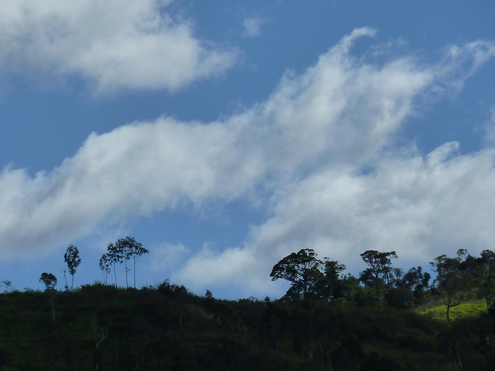 รูปถ่าย นิวแคลิโดเนีย(New Caledonia) ถนนจากตงตูตาไปทีโอ(Tontouta to Thio road) 2010-05 34