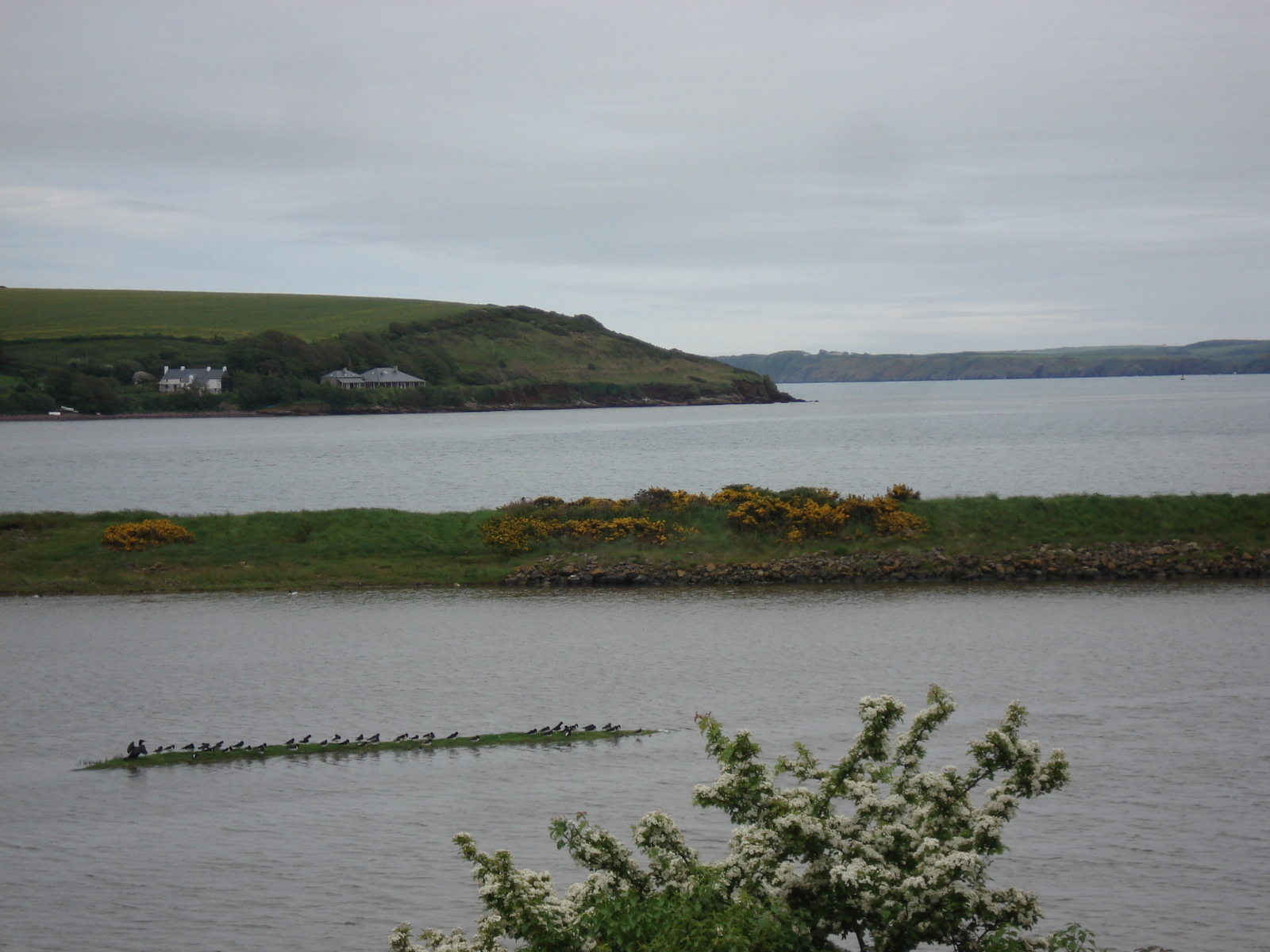 รูปถ่าย อังกฤษ(United Kingdom) เปมโบรคเชอร์(Pembrokeshire) เดล(Dale) 2006-05 6