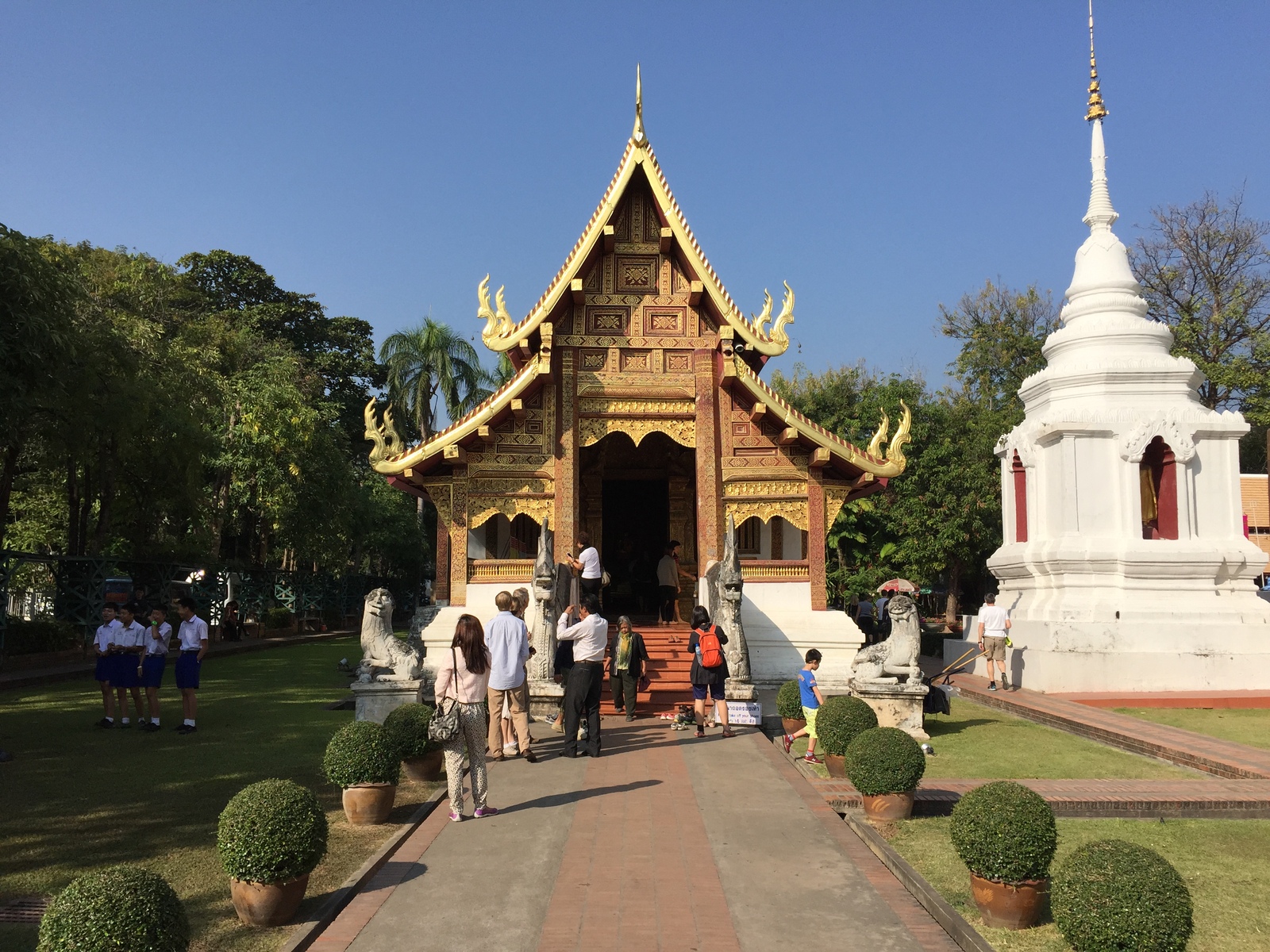 รูปถ่าย ไทย(Thailand) เชียงใหม่(Chiang Mai) 2014-12 57