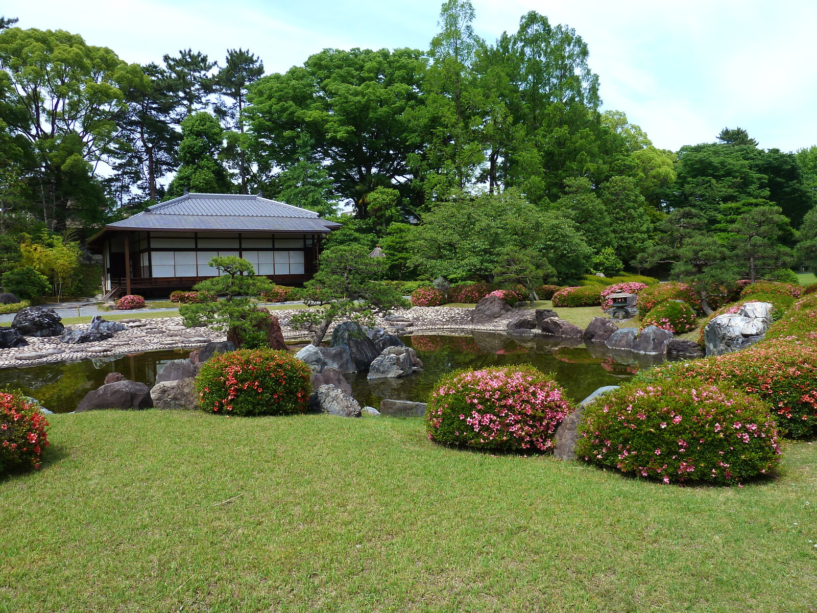 รูปถ่าย ญี่ปุ่น(Japan) เกียวโต(Kyoto) ปราสาทนิโจ(Nijo Castle) 2010-06 24
