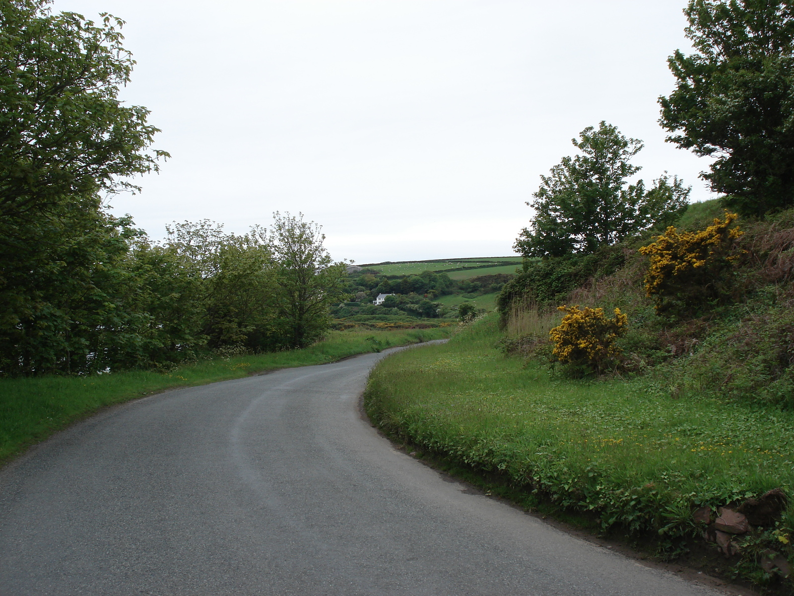 รูปถ่าย อังกฤษ(United Kingdom) เปมโบรคเชอร์(Pembrokeshire) เดล(Dale) 2006-05 4