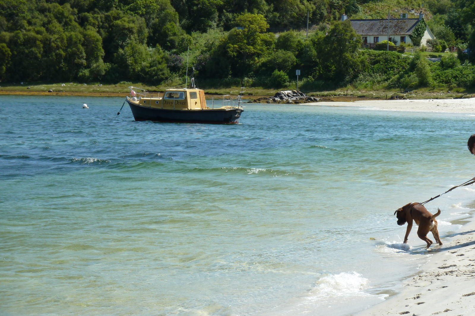รูปถ่าย อังกฤษ(United Kingdom) สกอตแลนด์(Scotland) ชายฝั่งแอริเซก(Arisaig coast) 2011-07 59