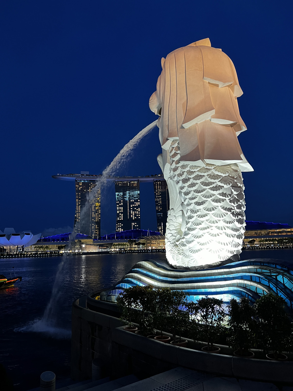 รูปถ่าย สิงคโปร์(Singapore) มารีนาเบย์(Marina Bay) 2023-01 41