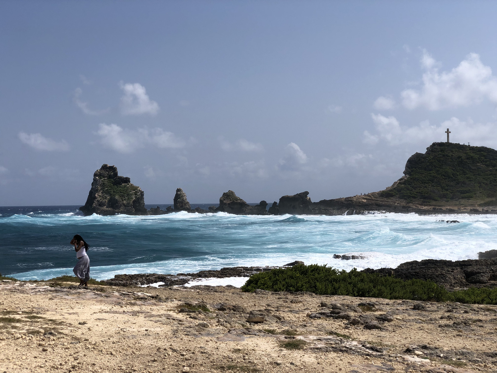รูปถ่าย กวาเดอลูป(Guadeloupe) แหลมคาสเซิลพอยต์(Castle Point) 2021-02 365