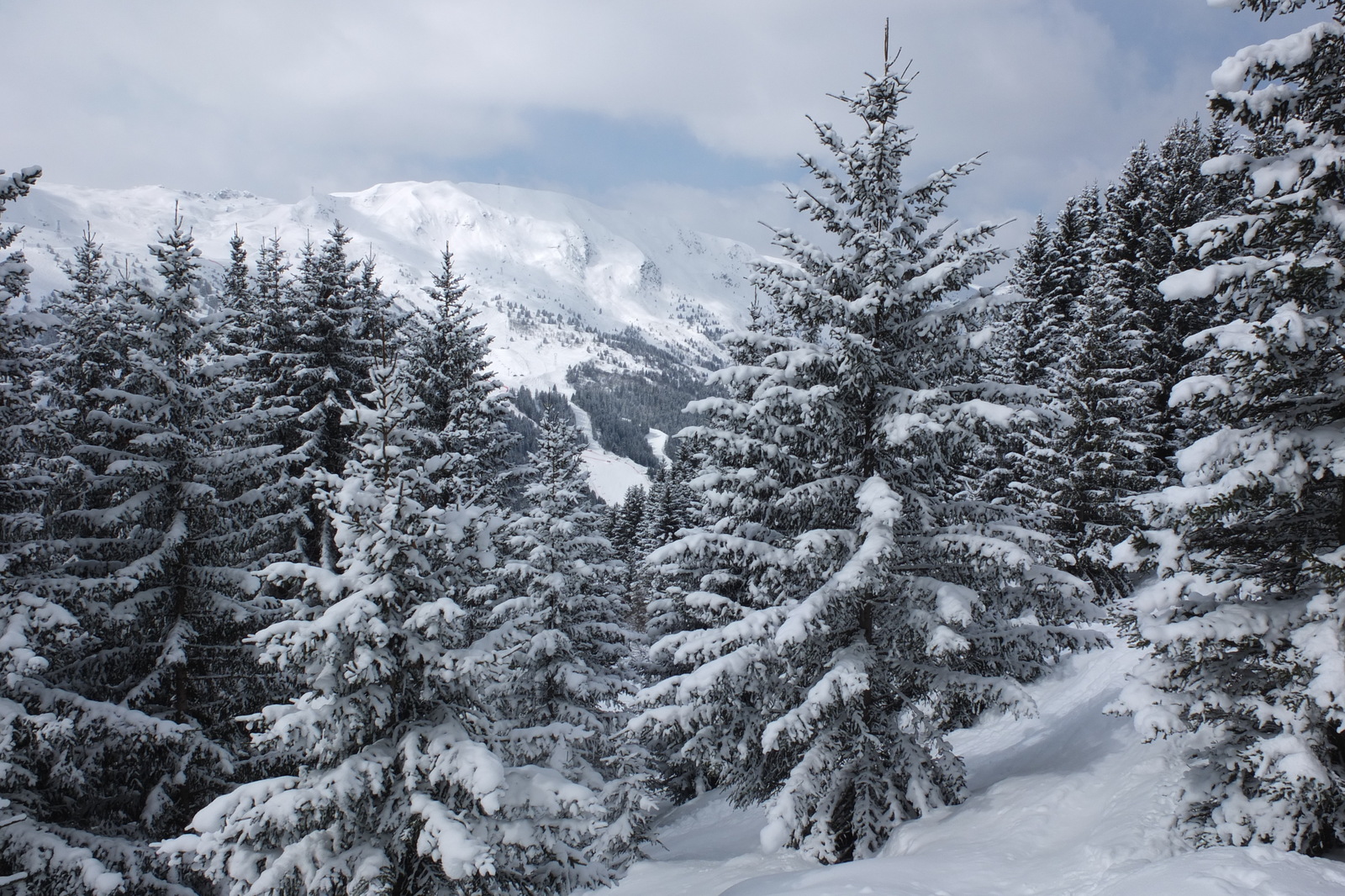 รูปถ่าย ฝรั่งเศส(France) เลทรัววาเล(Les 3 Vallees) 2013-03 284