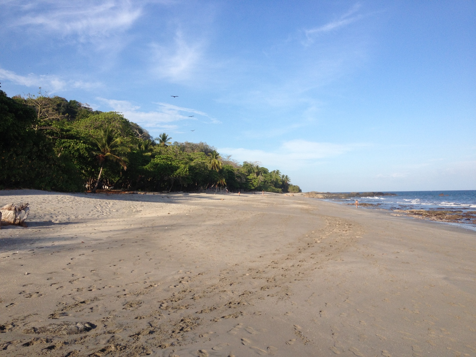 รูปถ่าย คอสตาริกา(Costa Rica) มอนเตซูมา(Montezuma) 2015-03 430