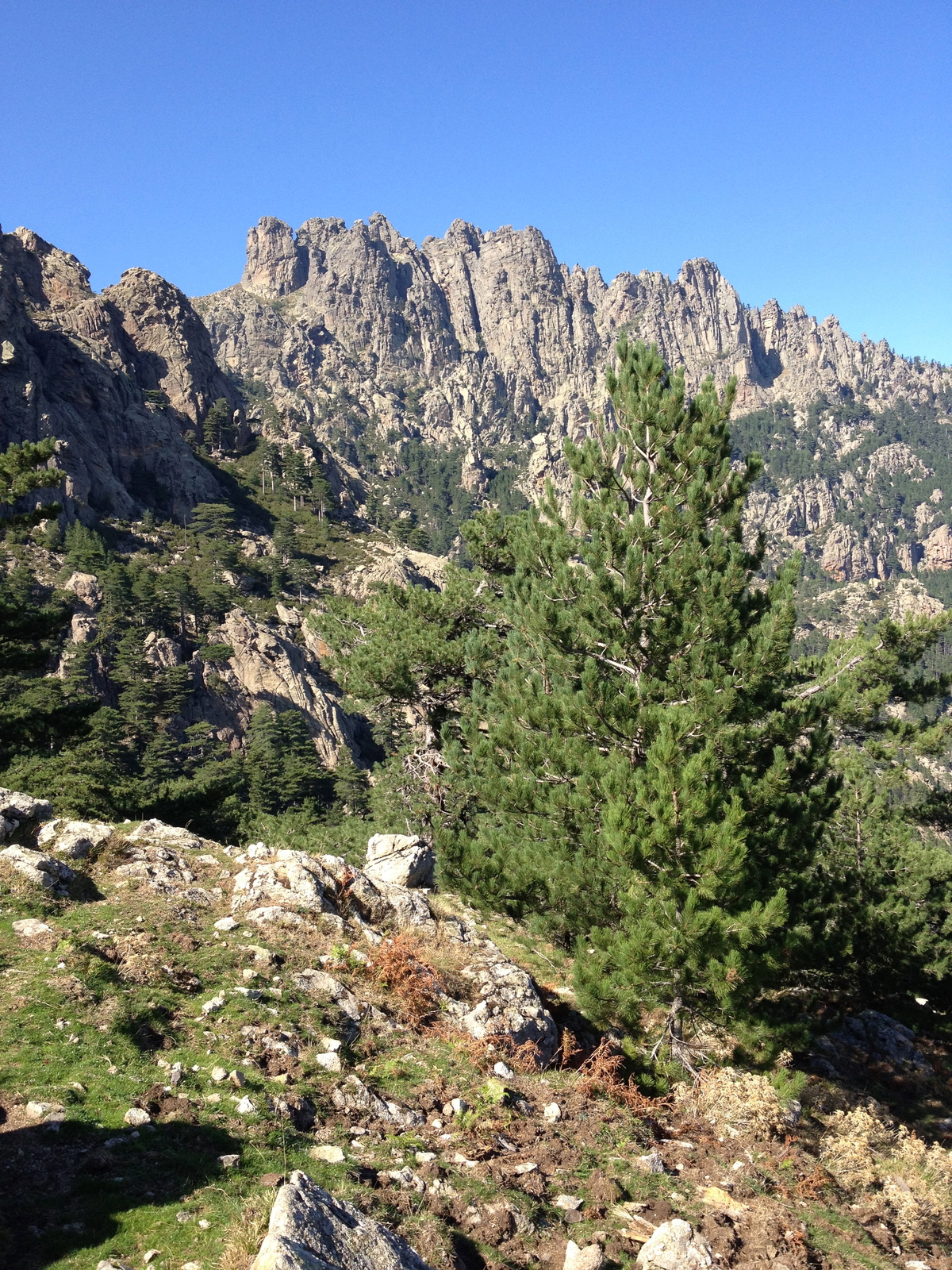 รูปถ่าย ฝรั่งเศส(France) คอร์สิคา(Corsica) บาแวลลา(Bavella) 2012-09 90