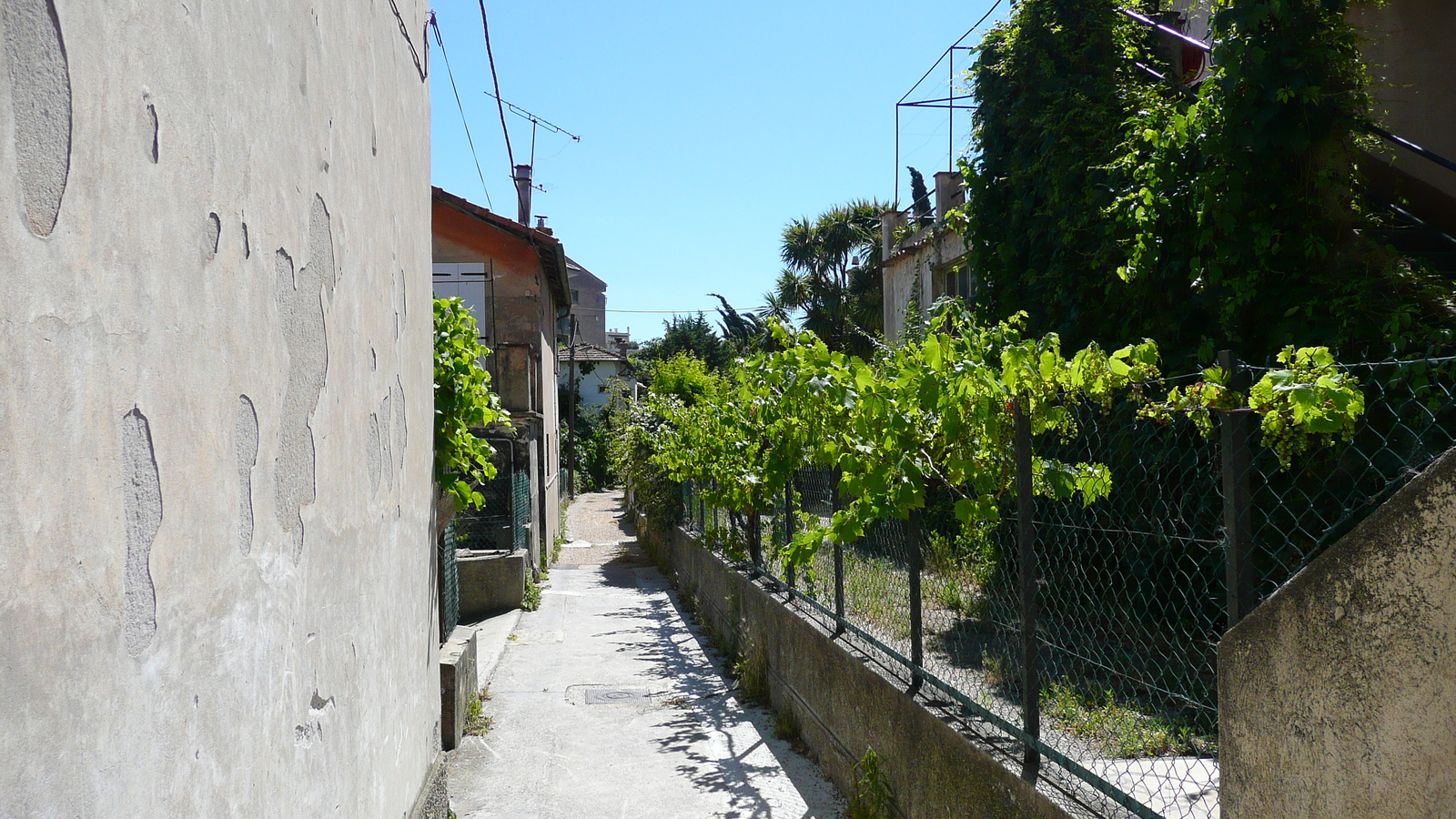 รูปถ่าย ฝรั่งเศส(France) วังซ์(Vence) วองซ์ด้านตะวันตก(Vence West) 2007-07 27