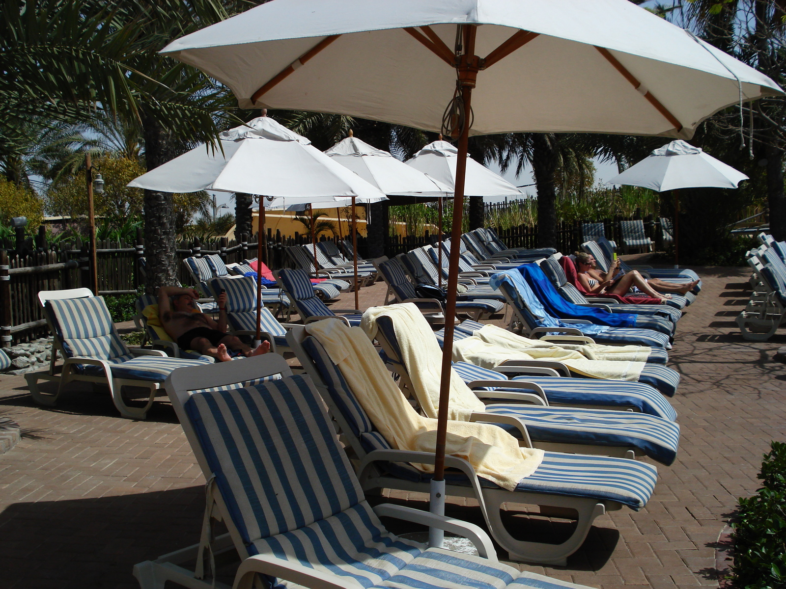 รูปถ่าย สหรัฐอาหรับเอมิเรตส์(United Arab Emirates) ดูไบ(Dubai) สวนน้ำไวลด์วาดี(Wild Wadi) 2007-03 125