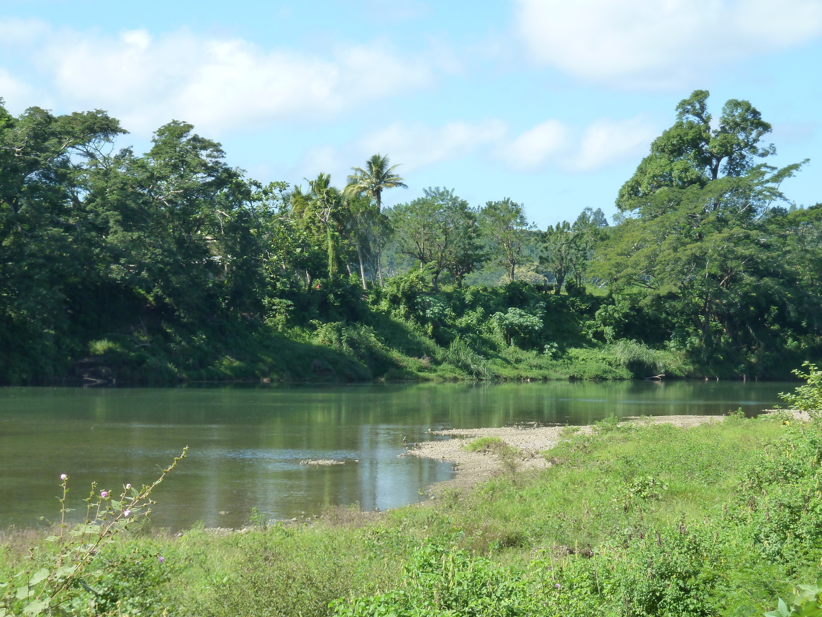 รูปถ่าย ฟิจิ(Fiji) แม่น้ำซิงกาโตกา(Sigatoka river) 2010-05 11