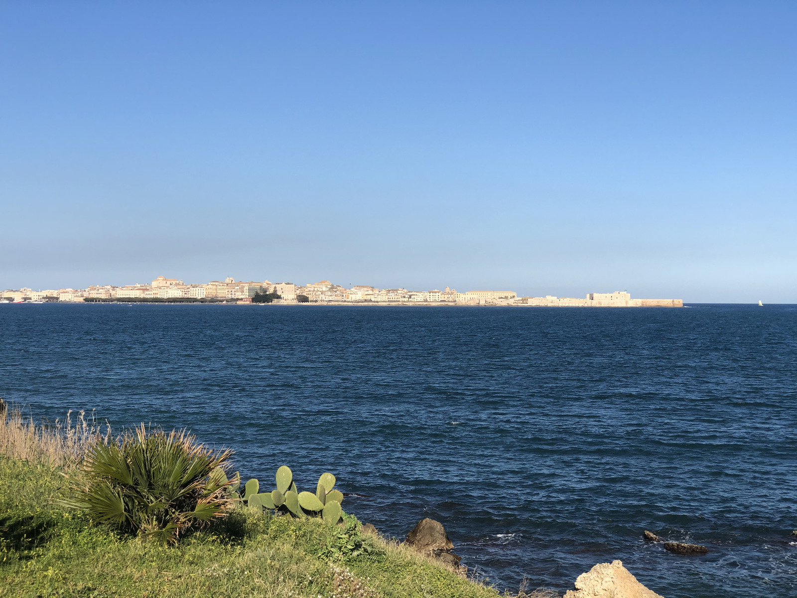 รูปถ่าย อิตาลี(Italy) ซิซิลี(Sicily) ออร์ตีเจีย(Ortigia) 2020-02 94