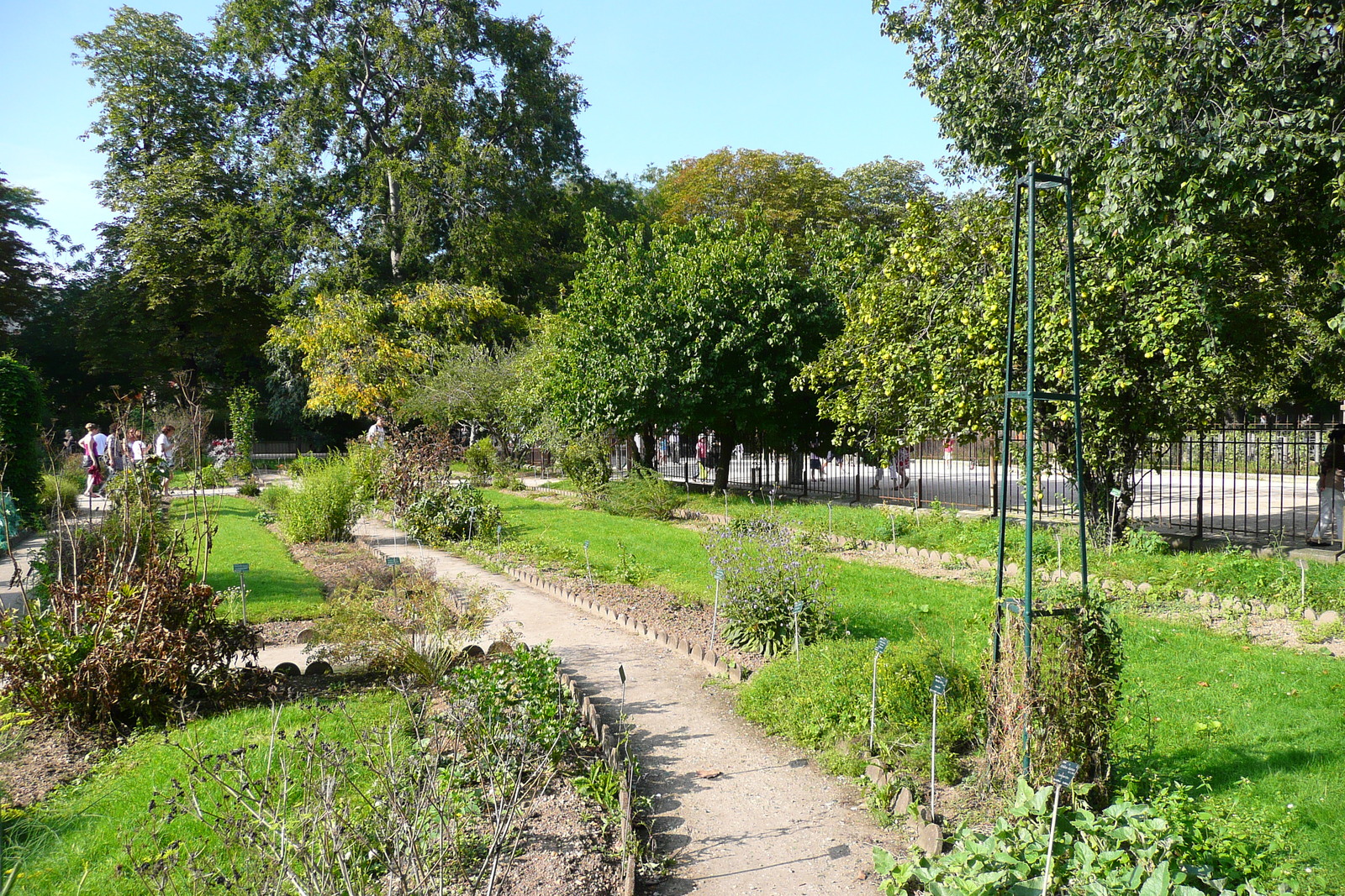 รูปถ่าย ฝรั่งเศส(France) ปารีส(Paris) สวนพันธ์ุพืช(Jardin des Plantes) 2007-08 87