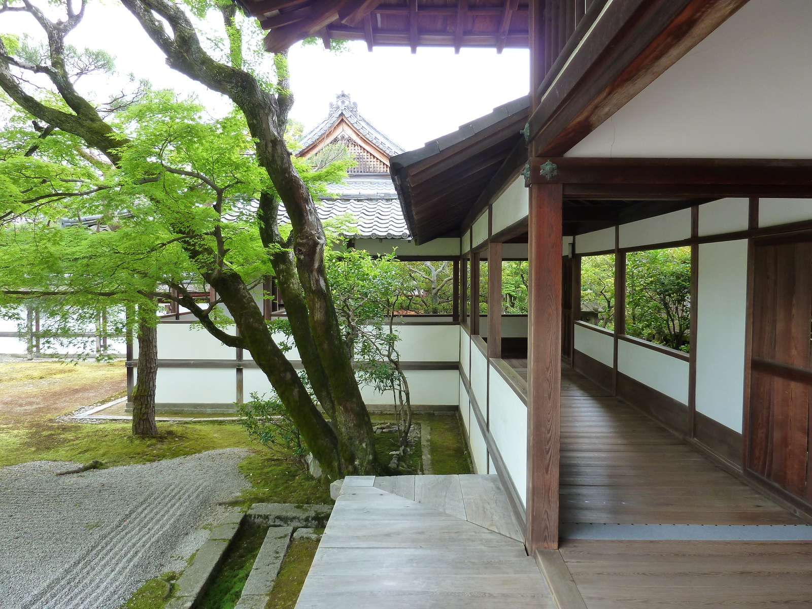 รูปถ่าย ญี่ปุ่น(Japan) เกียวโต(Kyoto) ตำหนักหลวงวัดนินนะจิ(Ninna ji imperial Residence) 2010-06 34