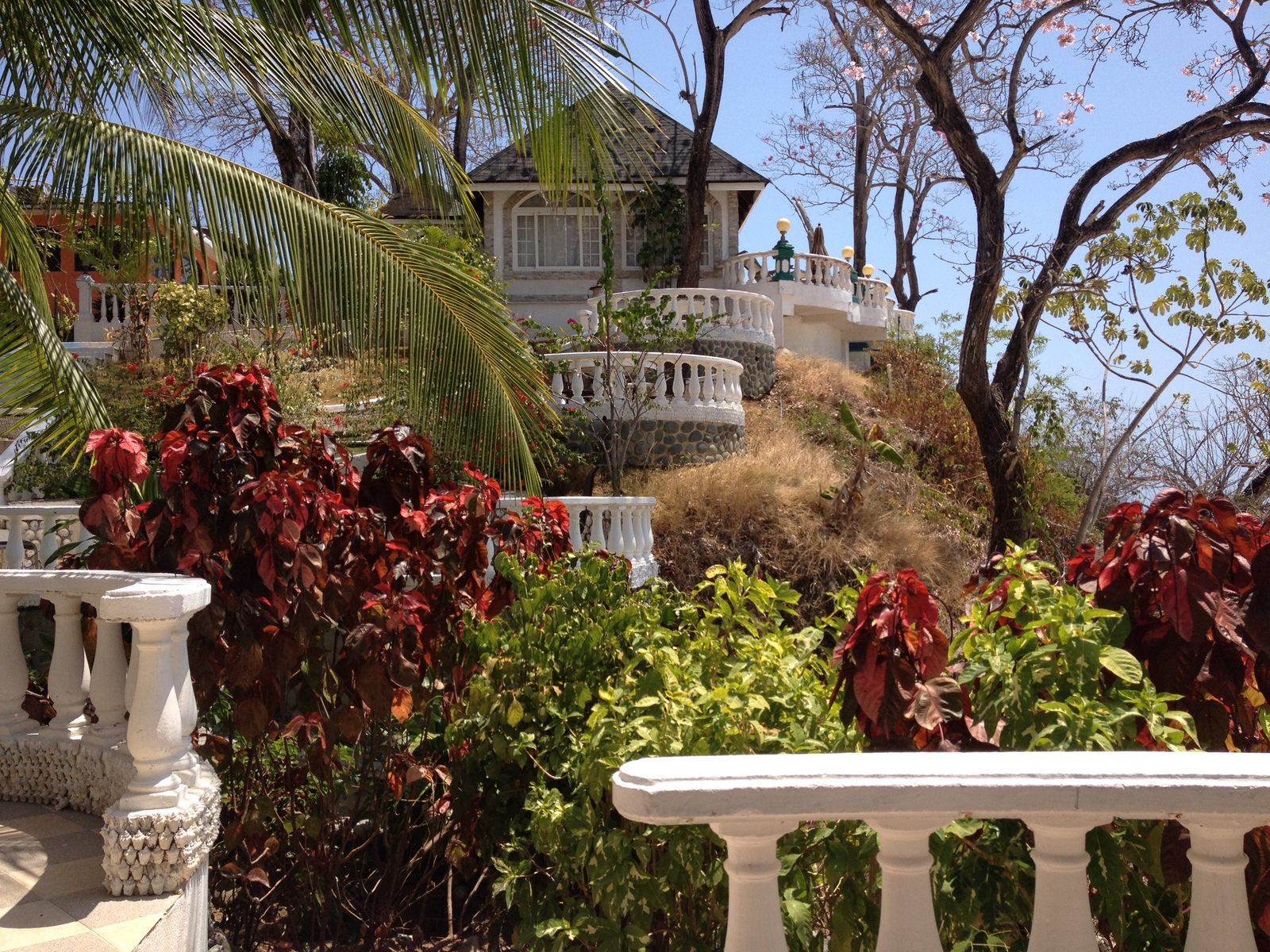 รูปถ่าย ปานามา(Panama) เกาะคอนตาโดรา(Contadora Island) 2015-03 65