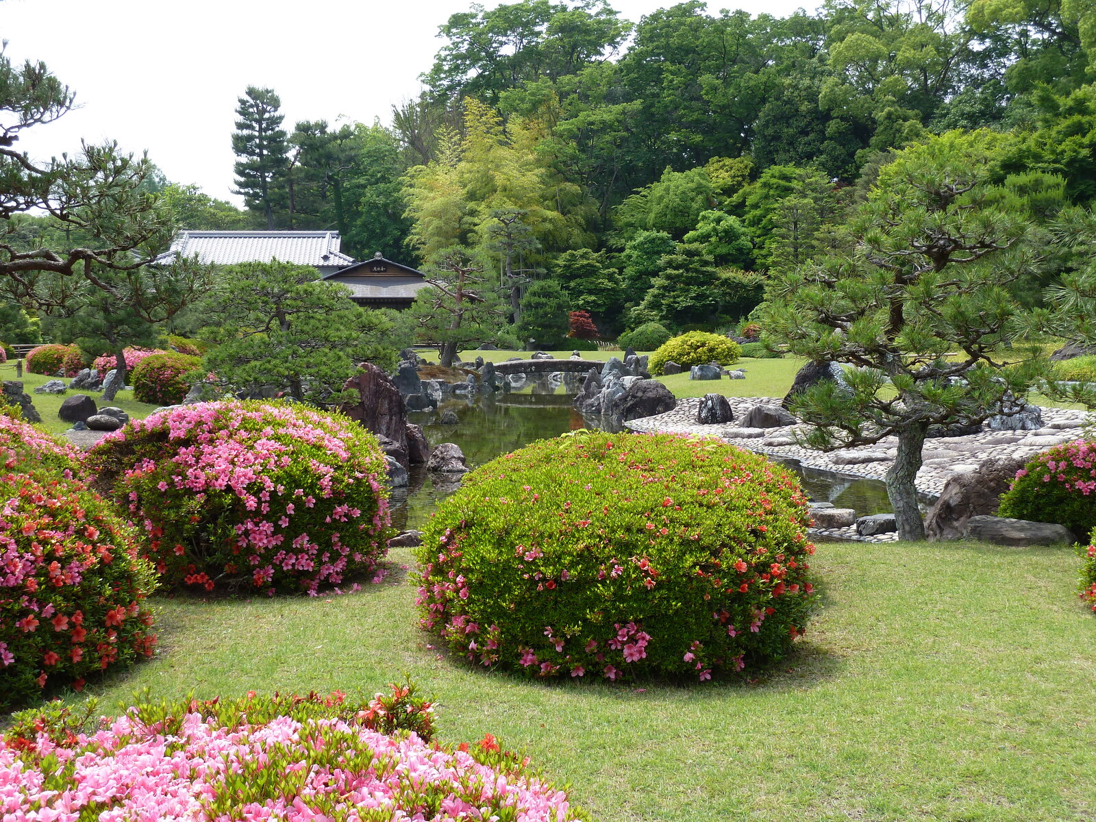 รูปถ่าย ญี่ปุ่น(Japan) เกียวโต(Kyoto) ปราสาทนิโจ(Nijo Castle) 2010-06 124