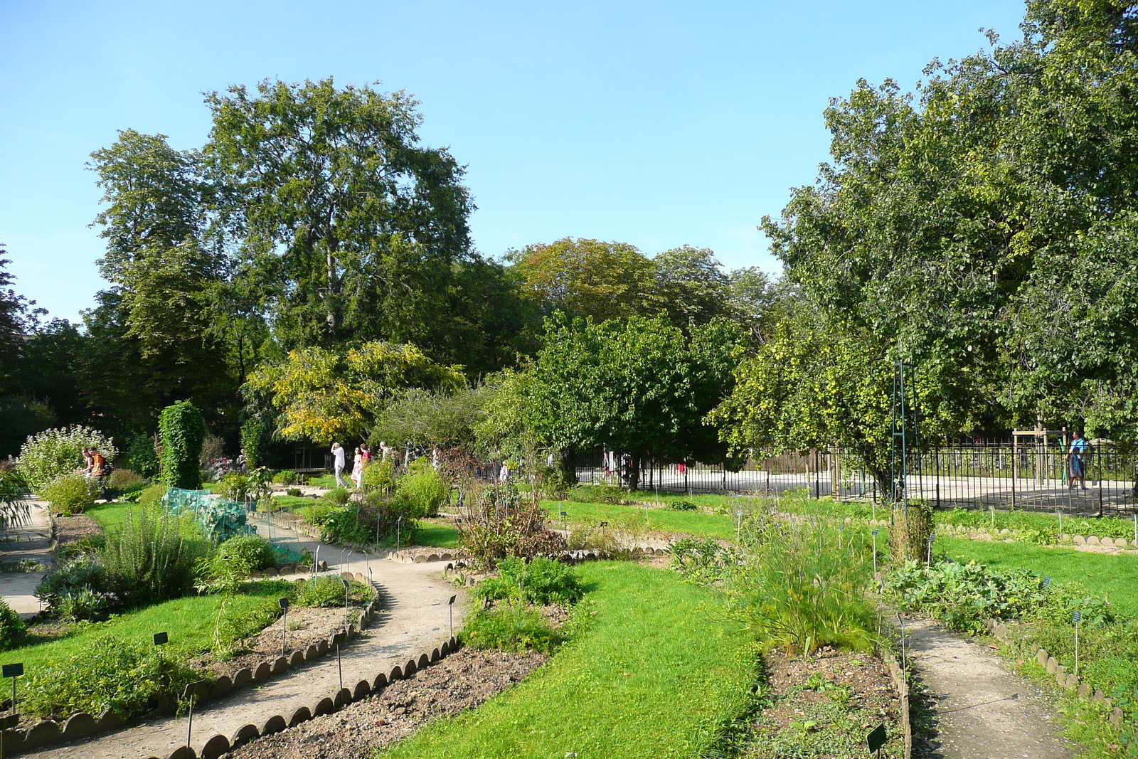 รูปถ่าย ฝรั่งเศส(France) ปารีส(Paris) สวนพันธ์ุพืช(Jardin des Plantes) 2007-08 67