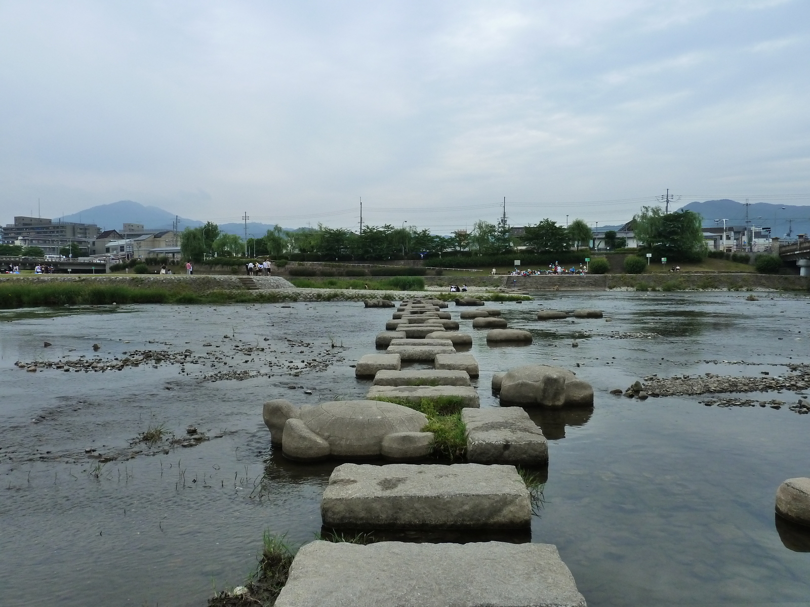 รูปถ่าย ญี่ปุ่น(Japan) เกียวโต(Kyoto) แม่น้ำคาโมะ(Kamo River) 2010-06 20