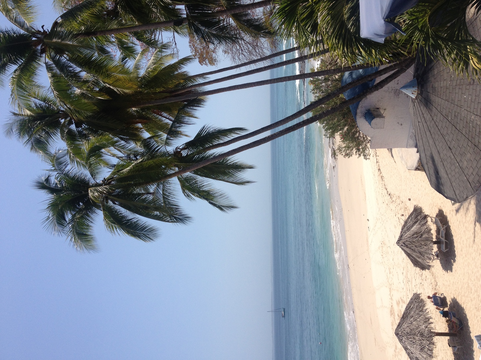 รูปถ่าย ปานามา(Panama) เกาะคอนตาโดรา(Contadora Island) 2015-03 51